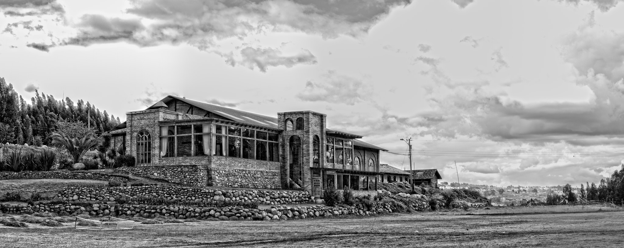 Sony ILCA-77M2 sample photo. Caballo campana b&w photography