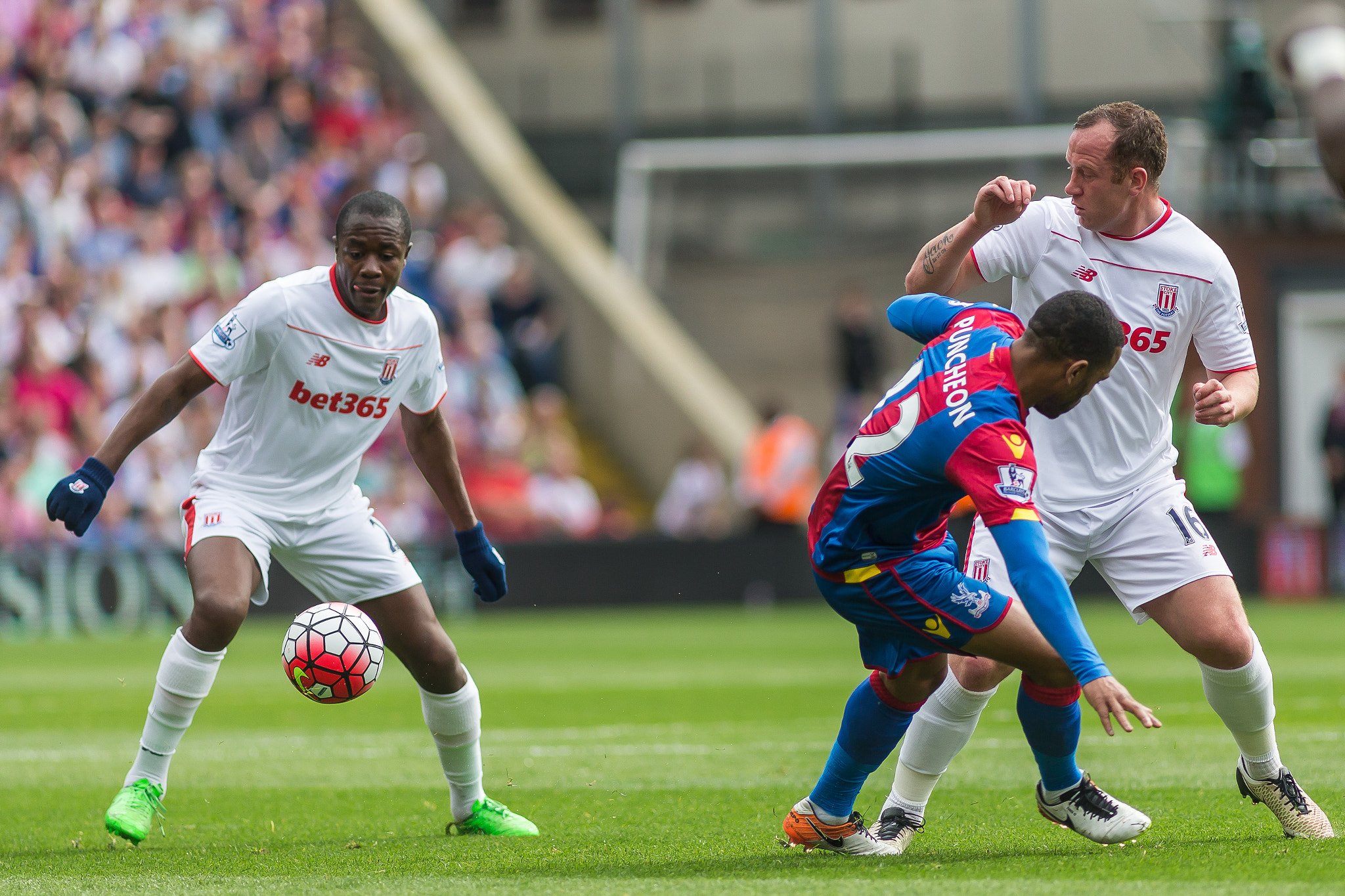 Canon EF 200mm F2.8L II USM sample photo. Crystal palace v stoke city - 7th may '16 photography