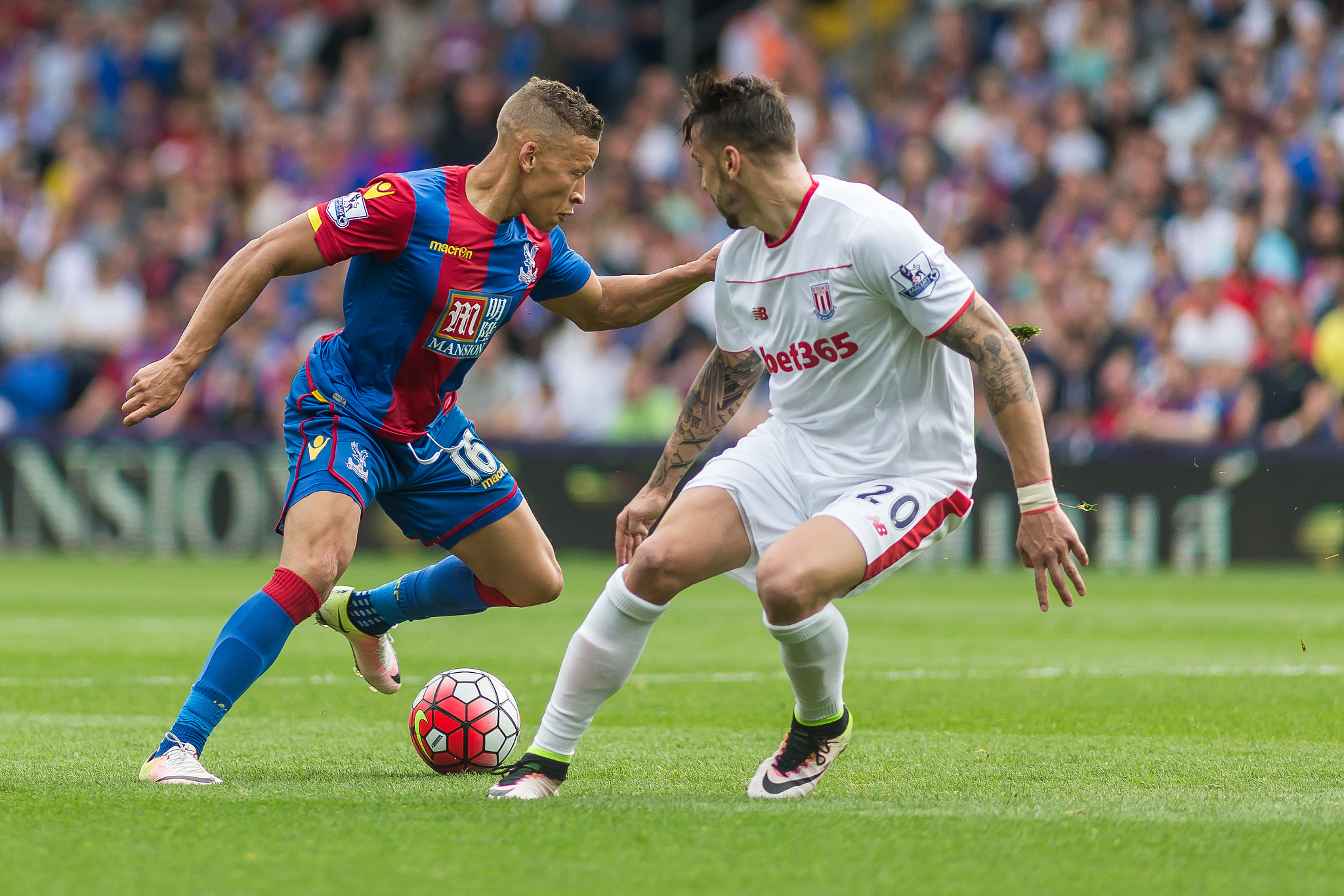 Canon EF 200mm F2.8L II USM sample photo. Crystal palace v stoke city - 7th may '16 photography