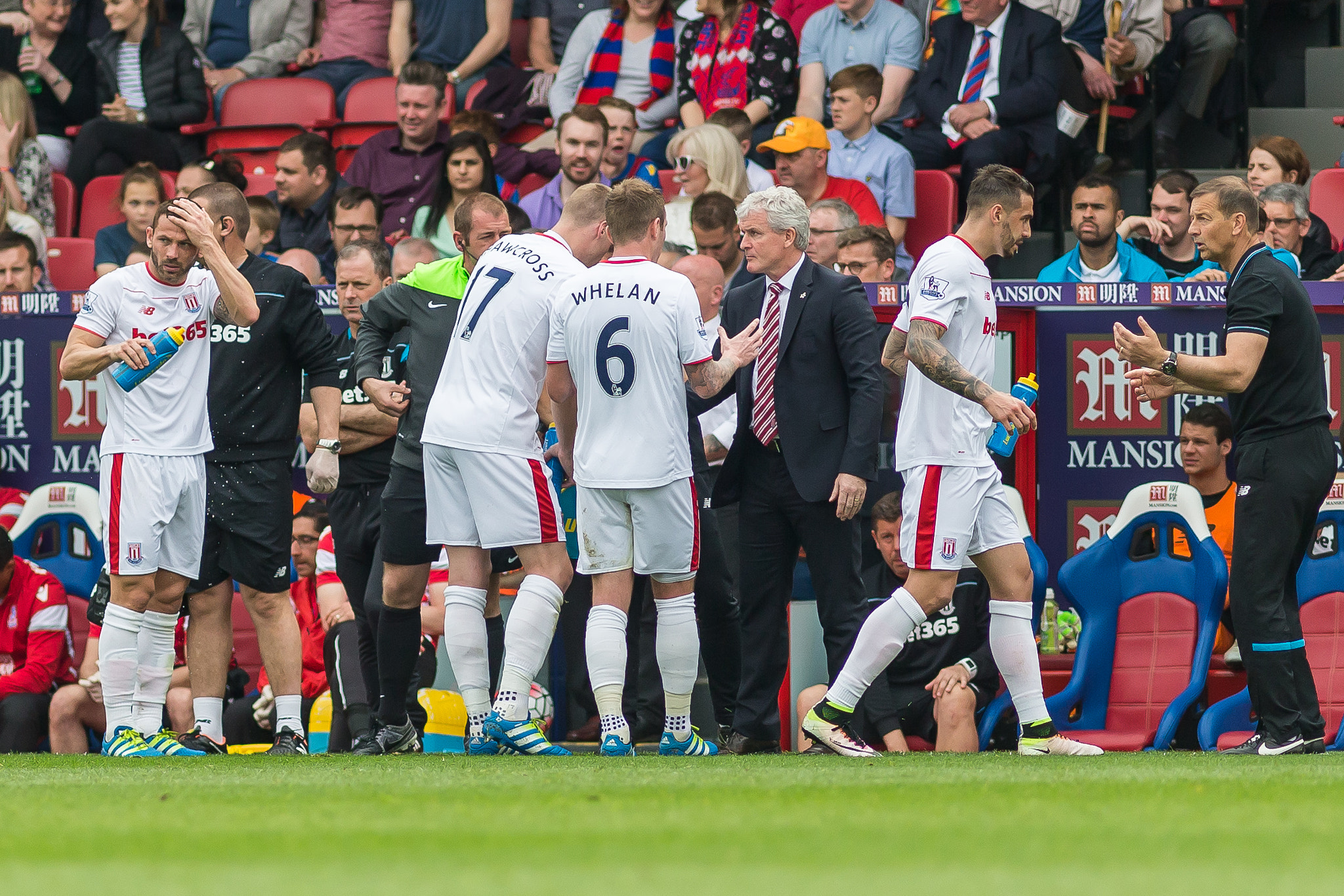 Canon EF 200mm F2.8L II USM sample photo. Crystal palace v stoke city - 7th may '16 photography