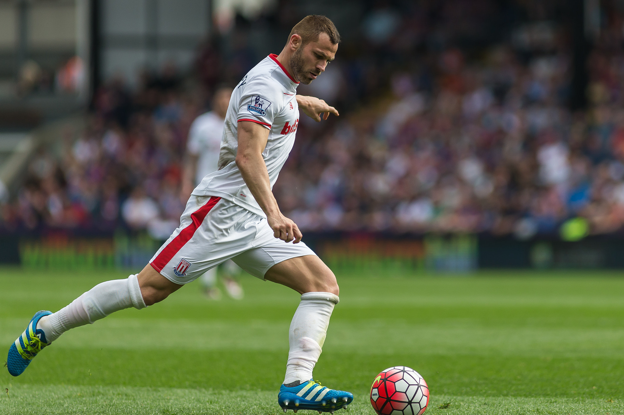 Canon EF 200mm F2.8L II USM sample photo. Crystal palace v stoke city - 7th may '16 photography