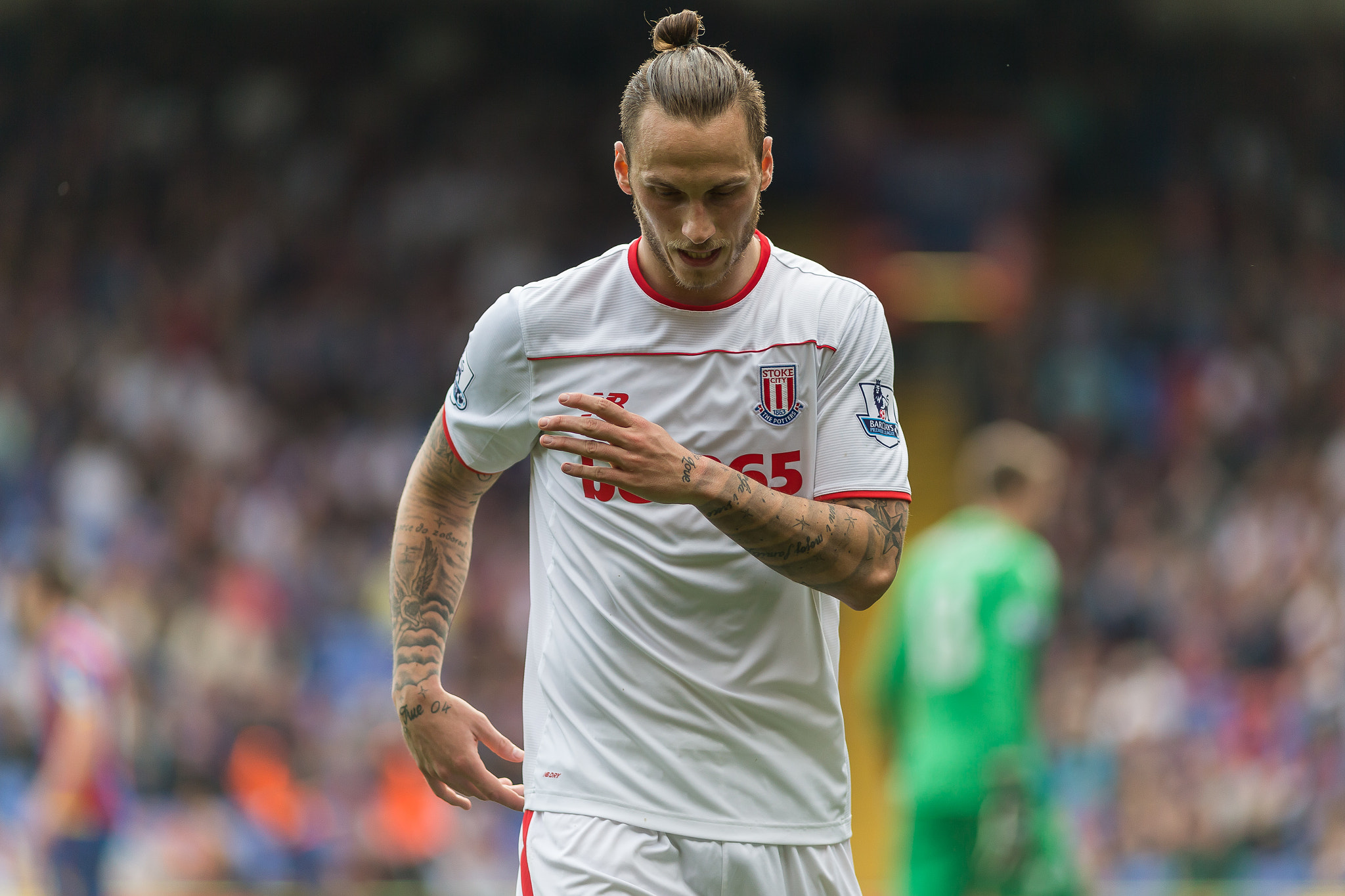 Canon EF 200mm F2.8L II USM sample photo. Crystal palace v stoke city - 7th may '16 photography