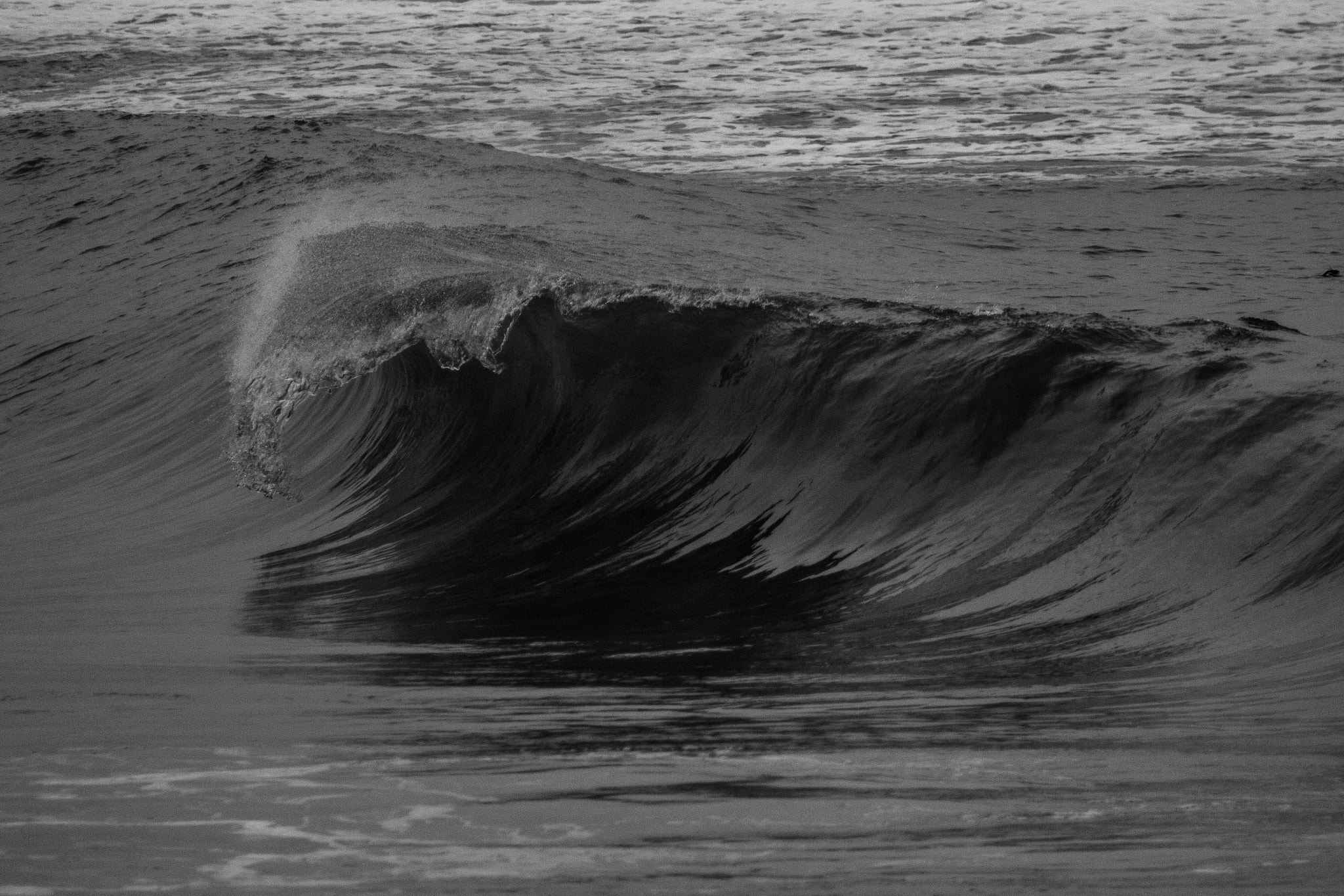 Canon EF 75-300mm f/4-5.6 USM sample photo. Curl photography
