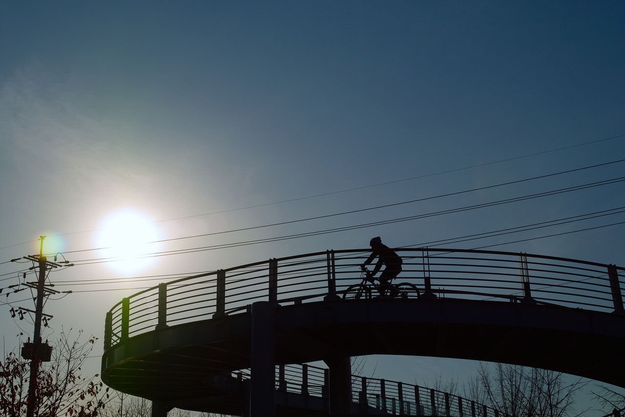 Sigma SD14 sample photo. Bicycle riding to the sun photography