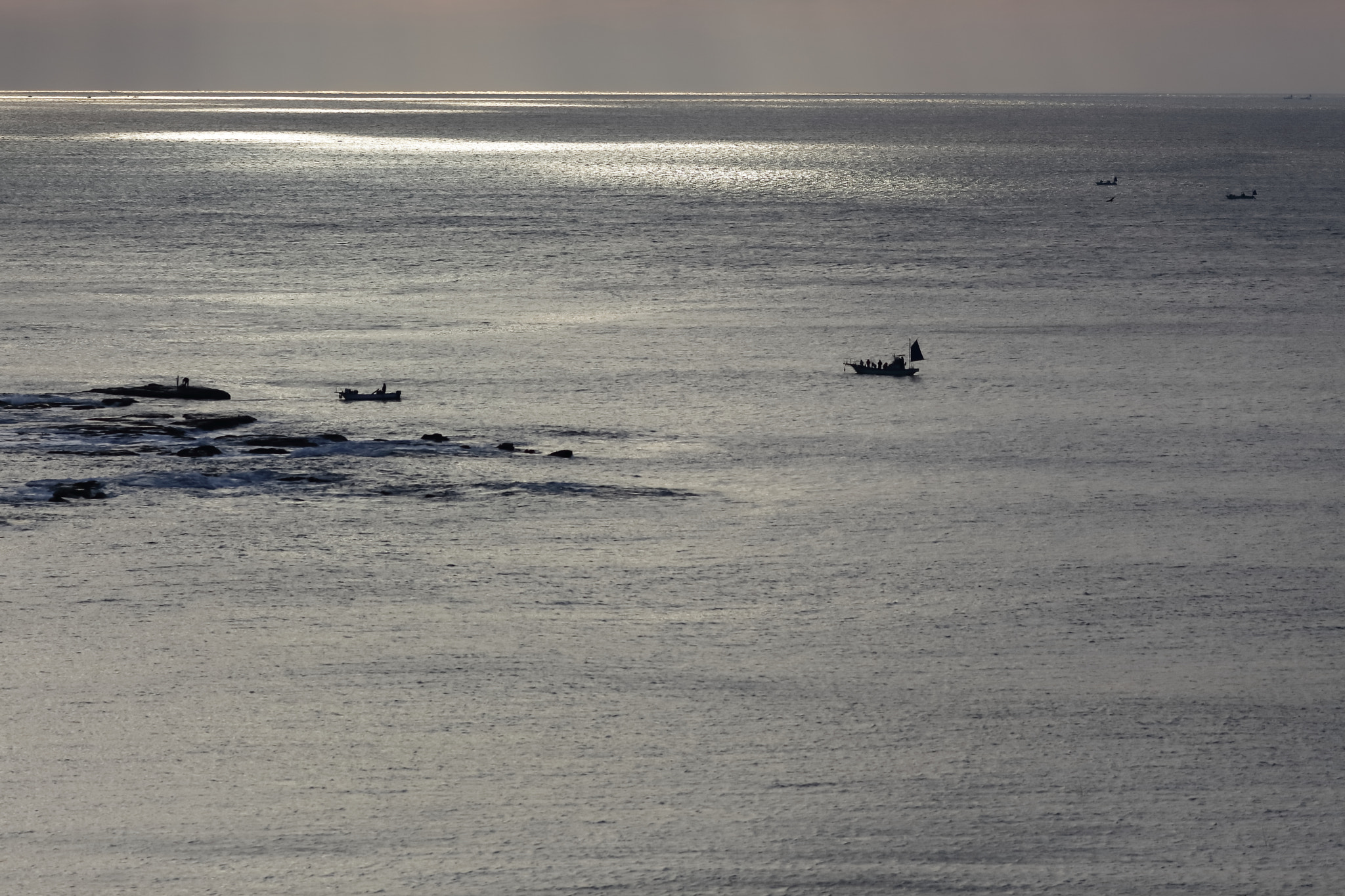Canon EF 200mm F2.8L II USM sample photo. Morning of the bright photography