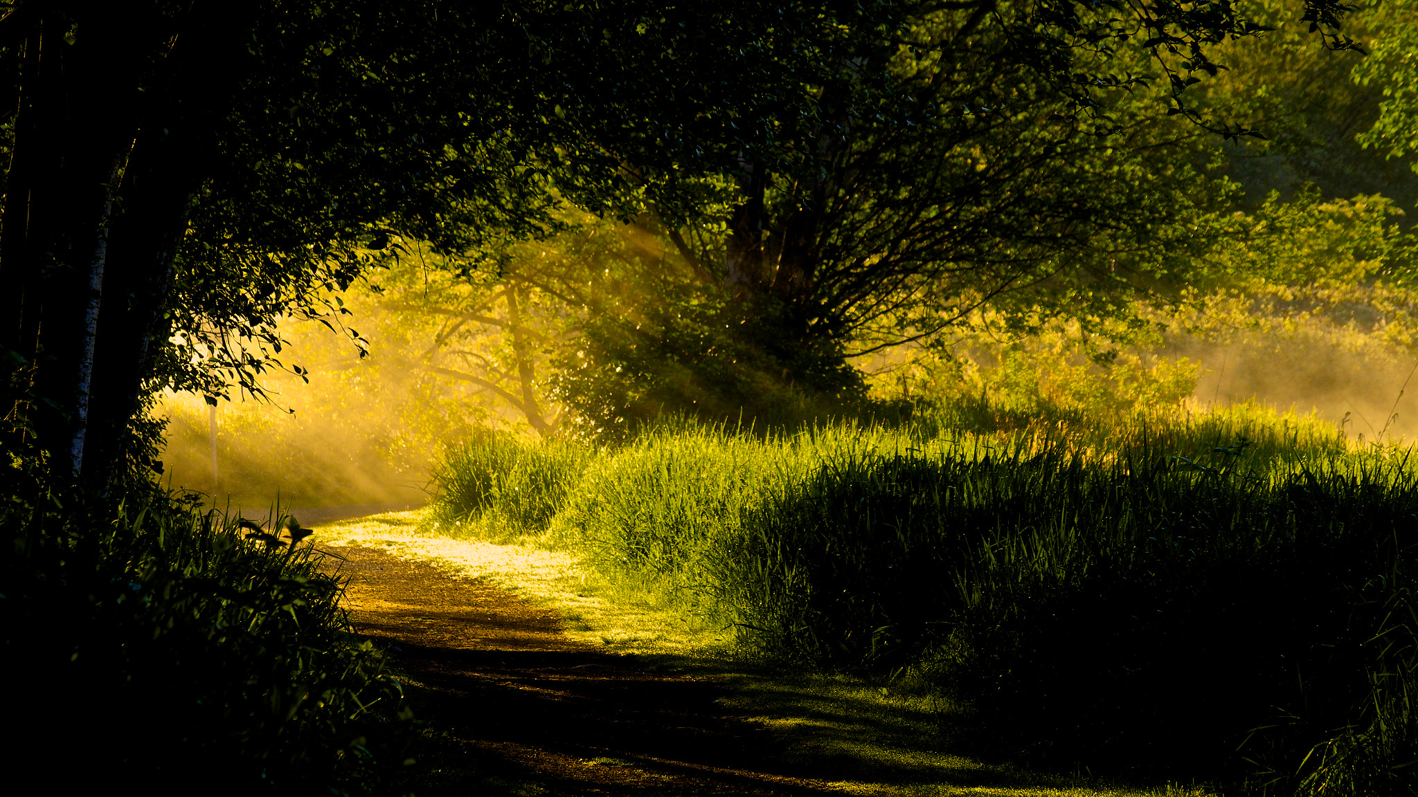 Pentax smc DA 50-200mm F4-5.6 ED WR sample photo. On a path to enlightenment photography
