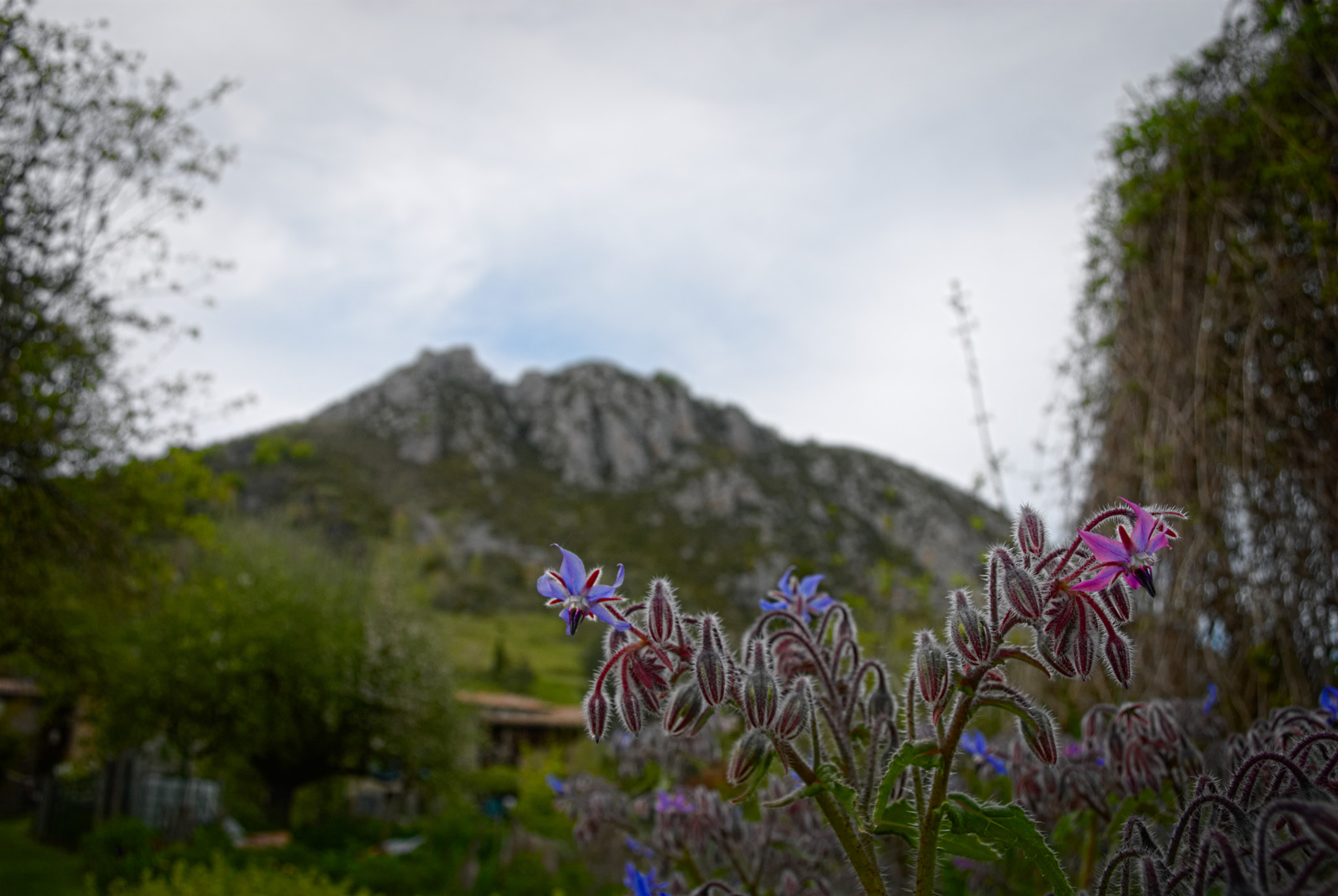 Sigma 18-50mm F3.5-5.6 DC sample photo. Ariège photography