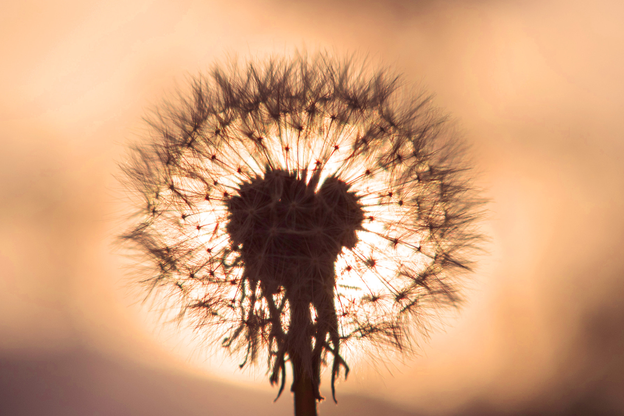 Canon EF 35-80mm f/4-5.6 sample photo. Sundown photography