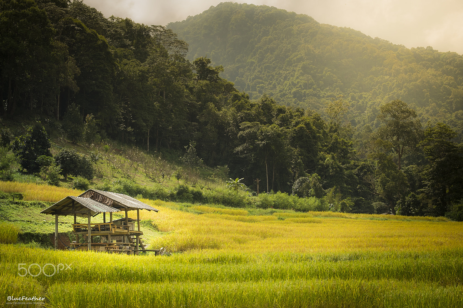 Fujifilm X-M1 + Fujifilm XC 50-230mm F4.5-6.7 OIS sample photo. Stay photography