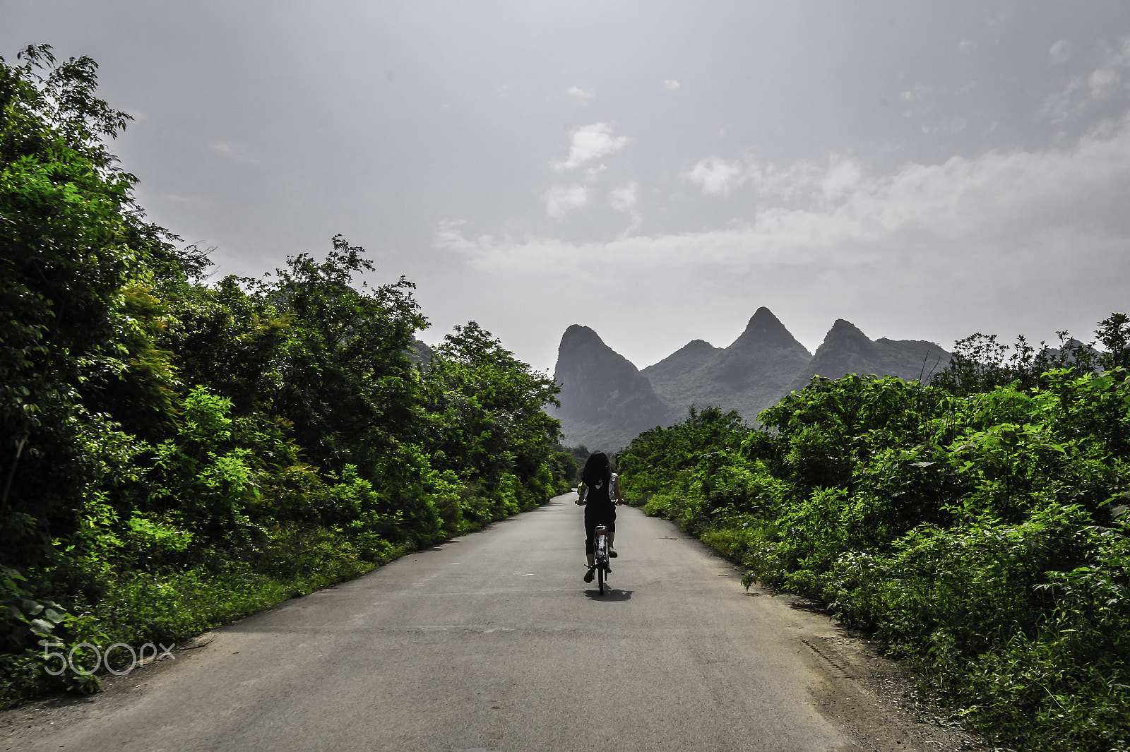 Sony Alpha a5000 (ILCE 5000) + Sigma 19mm F2.8 EX DN sample photo. Guilin green photography