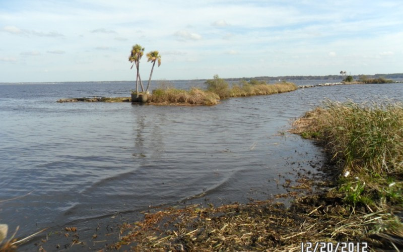 Samsung PL20,PL21 / VLUU PL20,PL21 sample photo. Mechanical aquatic weed control photography