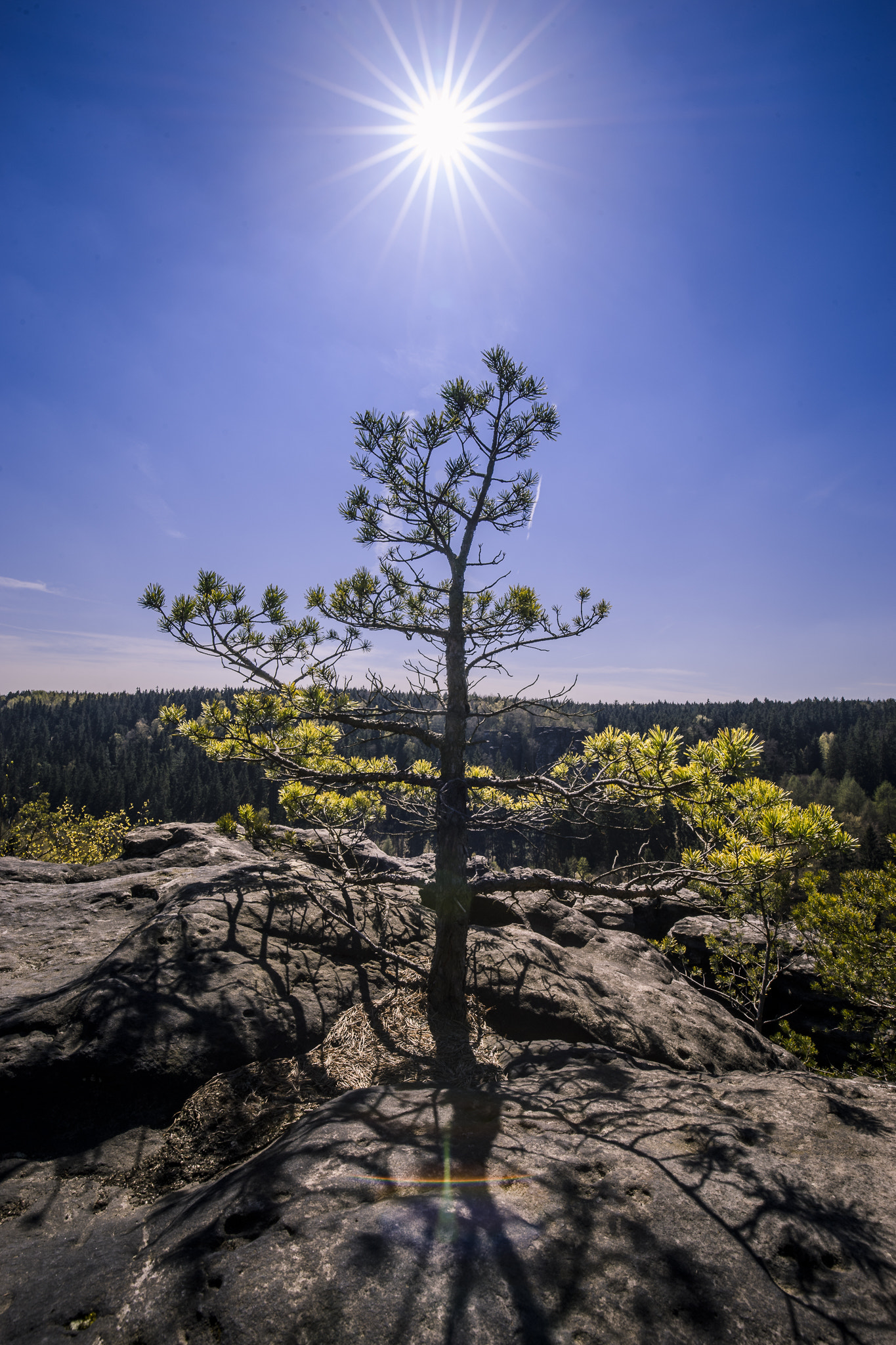 Sony a7 II + Canon EF 16-35mm F4L IS USM sample photo. King of heights photography