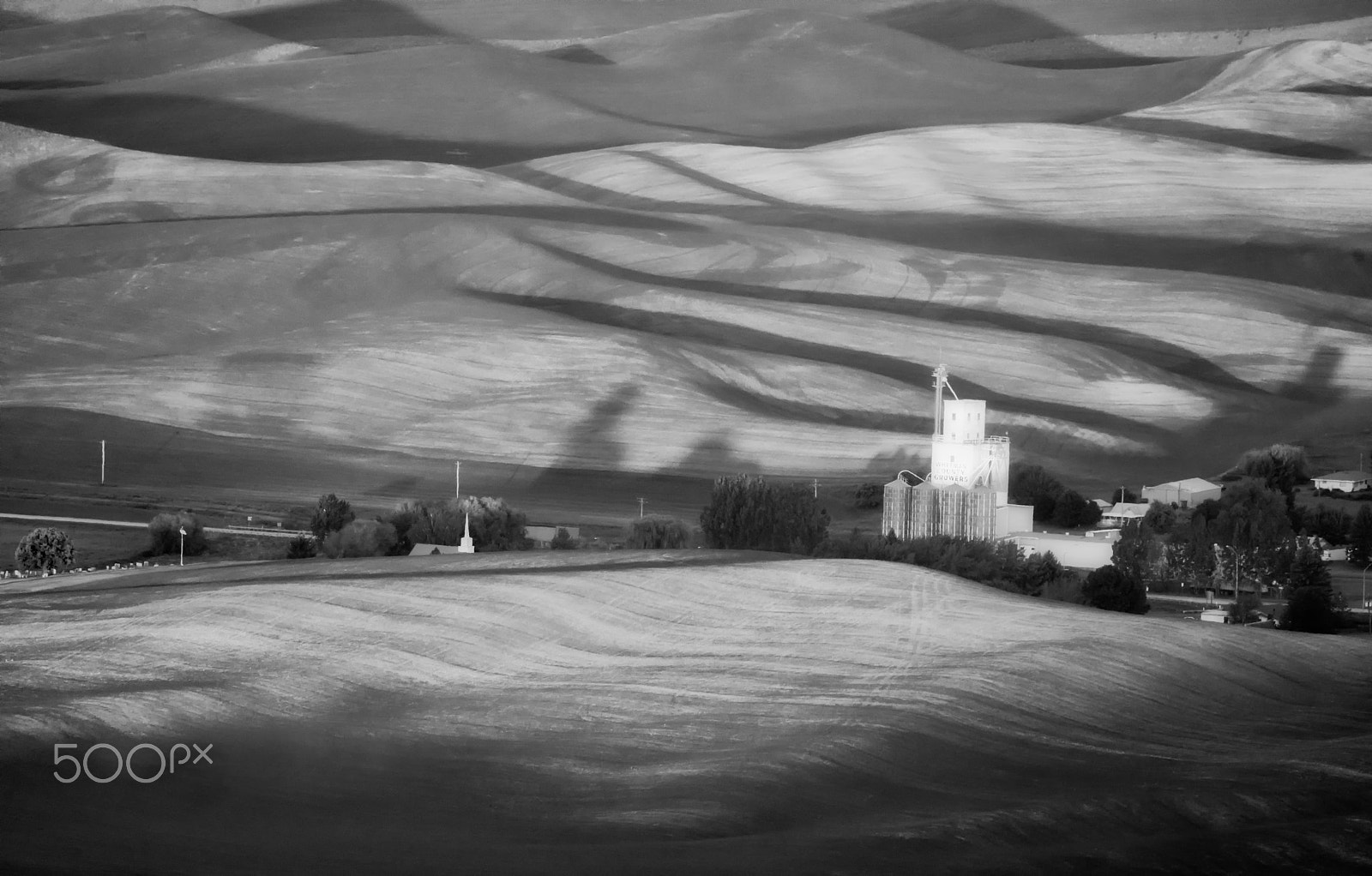 150-600mm F5-6.3 DG OS HSM | Contemporary 015 sample photo. The first light in palouse photography
