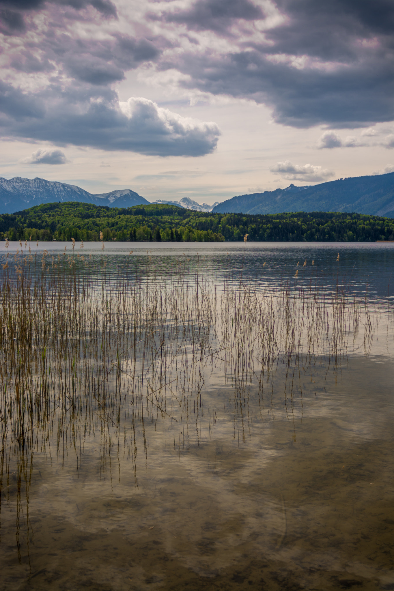 Nikon D7100 + Sigma 17-70mm F2.8-4 DC Macro OS HSM | C sample photo. Staffelsee photography