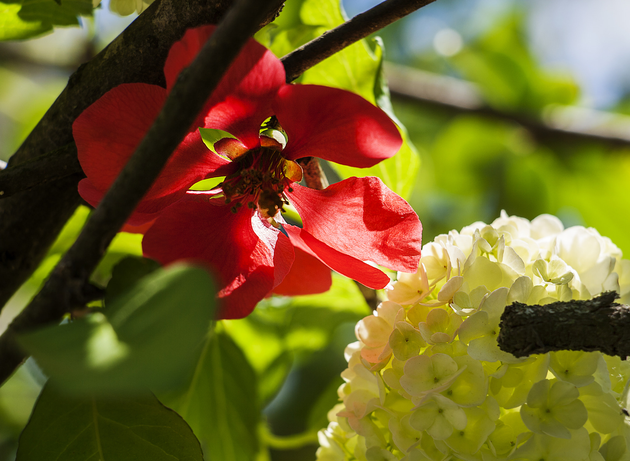 Canon EF-S 18-135mm F3.5-5.6 IS STM sample photo. Find your hidden passion photography