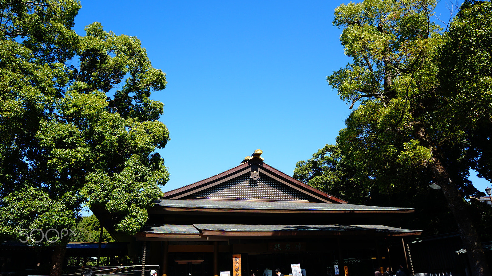 Sony E 16-50mm F3.5-5.6 PZ OSS sample photo. 日本-明治神宫 photography