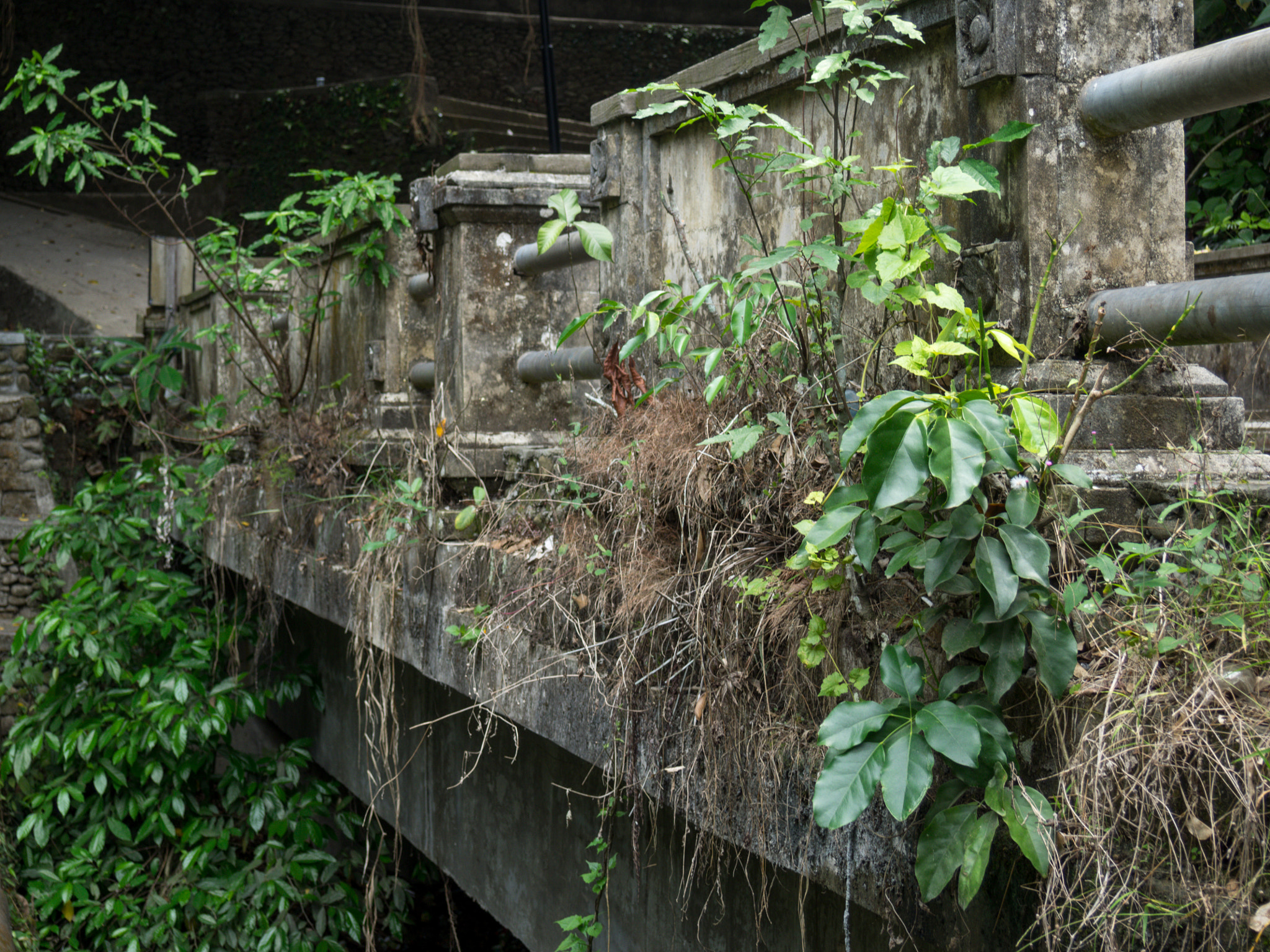 Olympus M.Zuiko Digital 14-42mm F3.5-5.6 II R sample photo. Wall of neglect photography