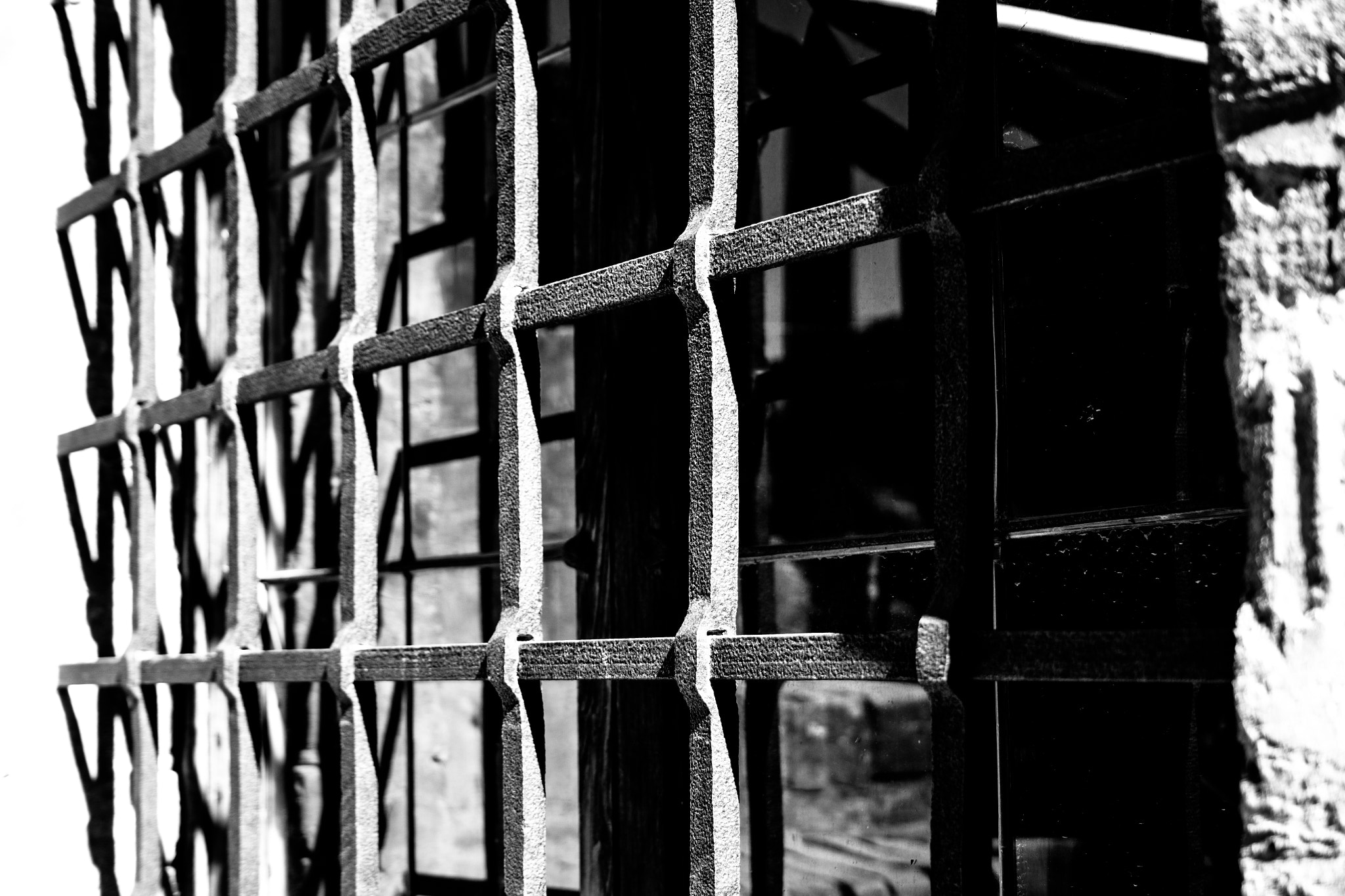 Canon EF-S 18-55mm F3.5-5.6 sample photo. Caged photography