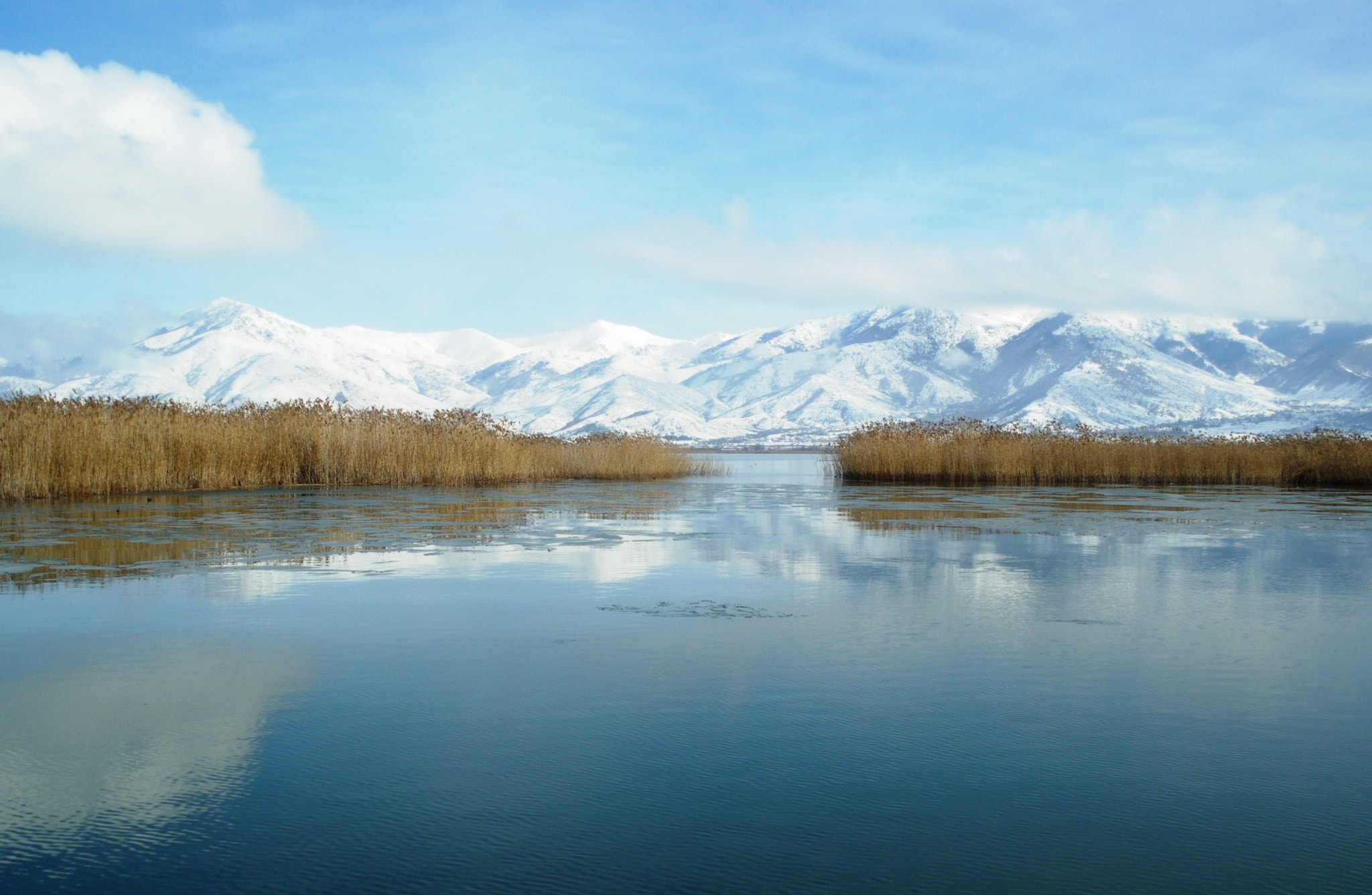 Pentax Optio M50 sample photo. Prespes, greece, at winter time photography