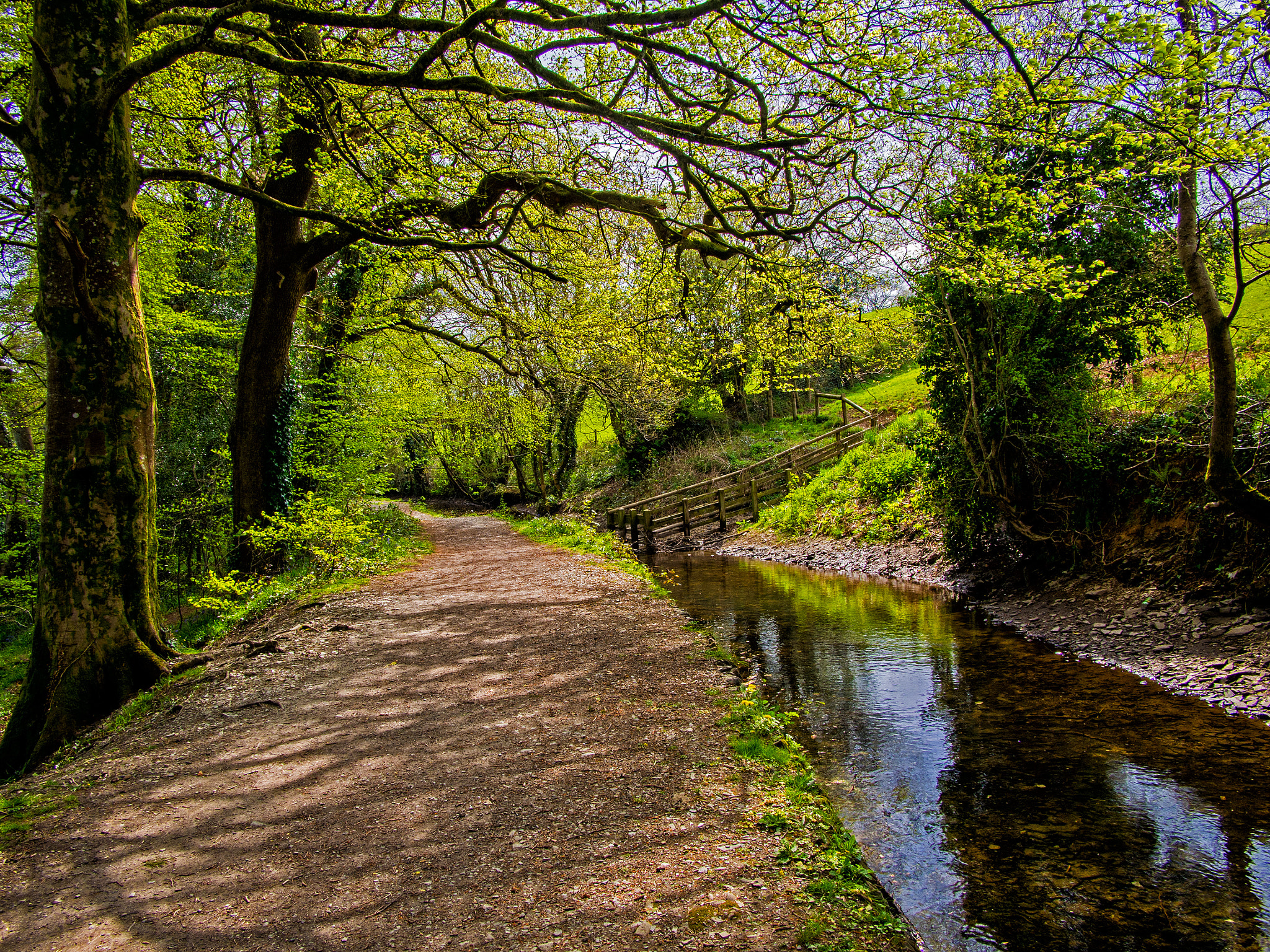 Olympus OM-D E-M5 + Panasonic Lumix G 14mm F2.5 ASPH sample photo. Tavistock canal, devon, uk photography