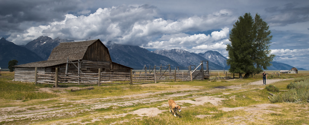 Gran Teton National Park by Danilo Forcellini on 500px.com