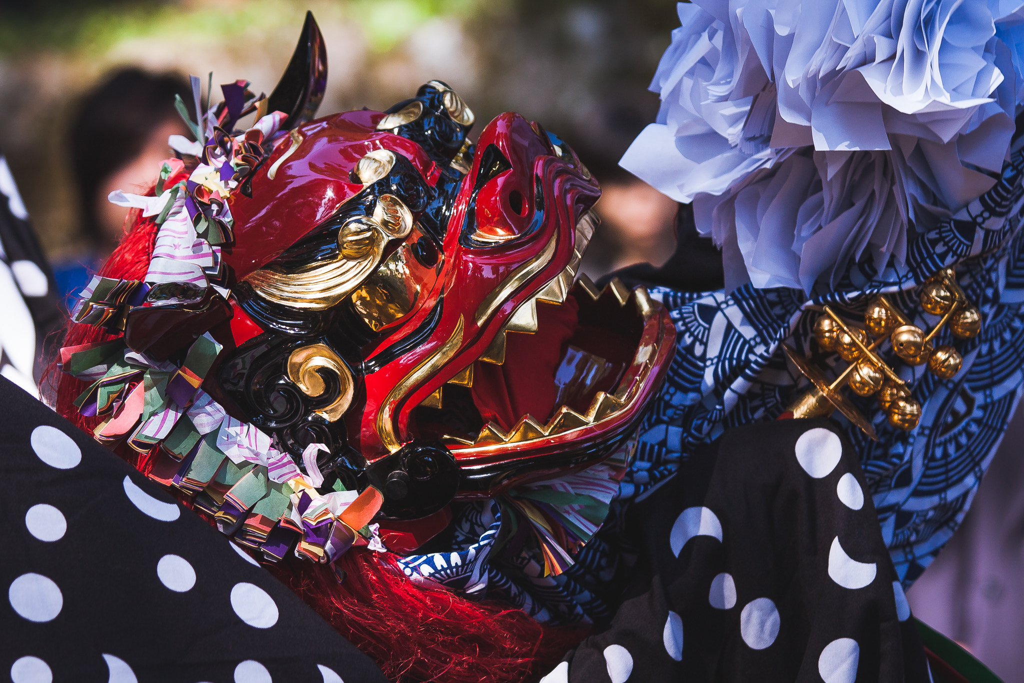 Canon EF 70-200mm F2.8L USM sample photo. Dragon-dancer.jpg photography
