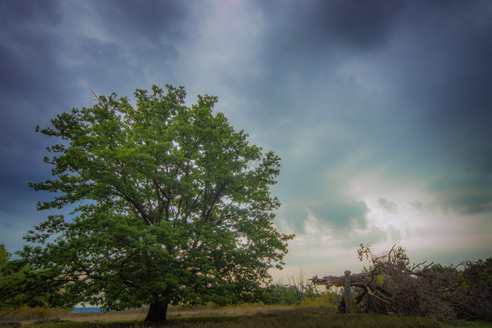 Nikon D3100 + Sigma 12-24mm F4.5-5.6 EX DG Aspherical HSM sample photo. Carisio photography