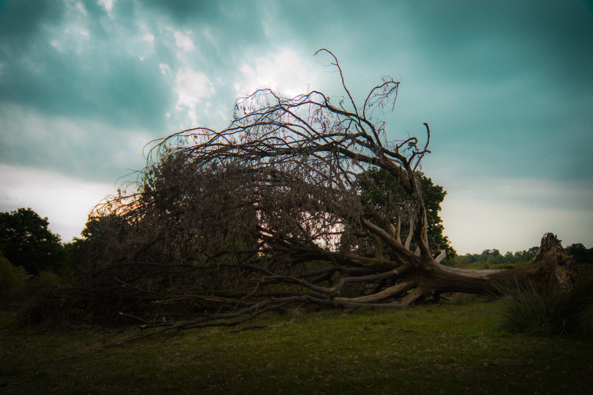 Nikon D3100 + Sigma 12-24mm F4.5-5.6 EX DG Aspherical HSM sample photo. Carisio photography