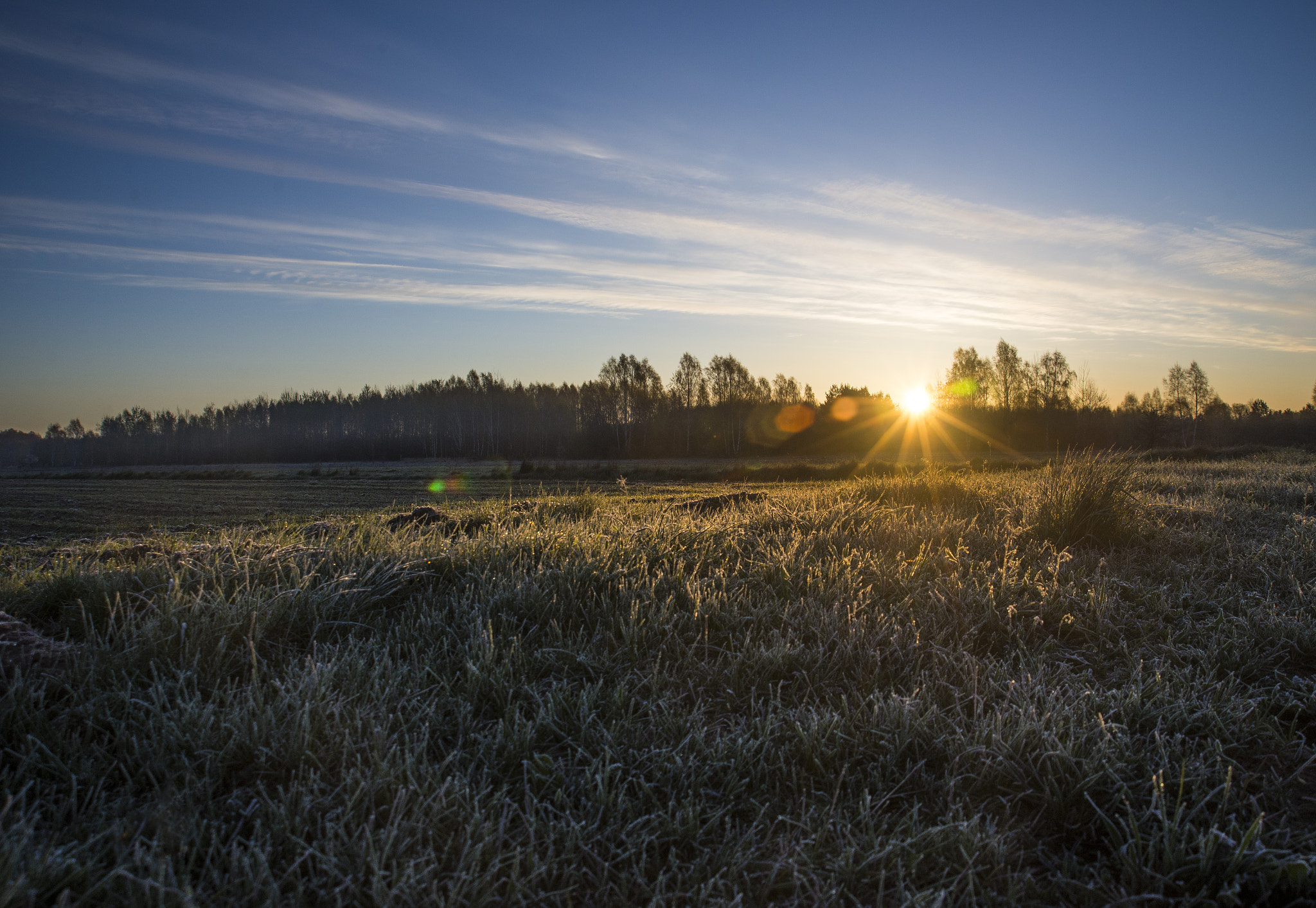 AF Zoom-Nikkor 24-120mm f/3.5-5.6D IF sample photo. Meadow frost photography