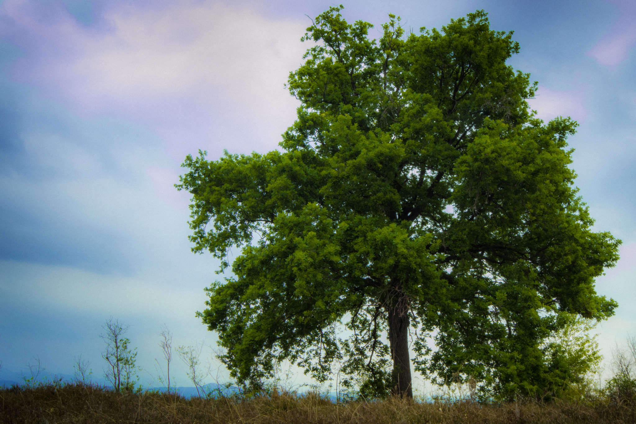 Nikon D3100 + Sigma 12-24mm F4.5-5.6 EX DG Aspherical HSM sample photo. Carisio photography