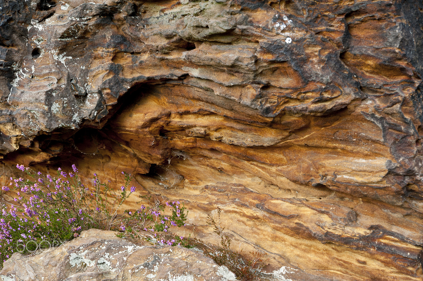 Nikon AF-S Micro-Nikkor 60mm F2.8G ED sample photo. Devil's jumps carstone, surrey. photography