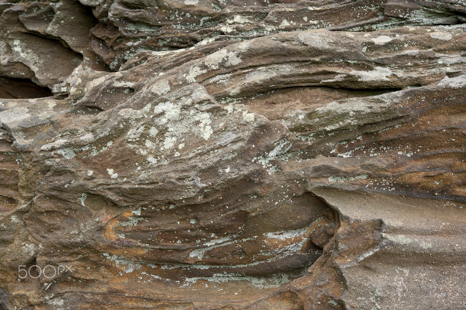 Nikon AF-S Micro-Nikkor 60mm F2.8G ED sample photo. Devil's jumps carstone, surrey. photography