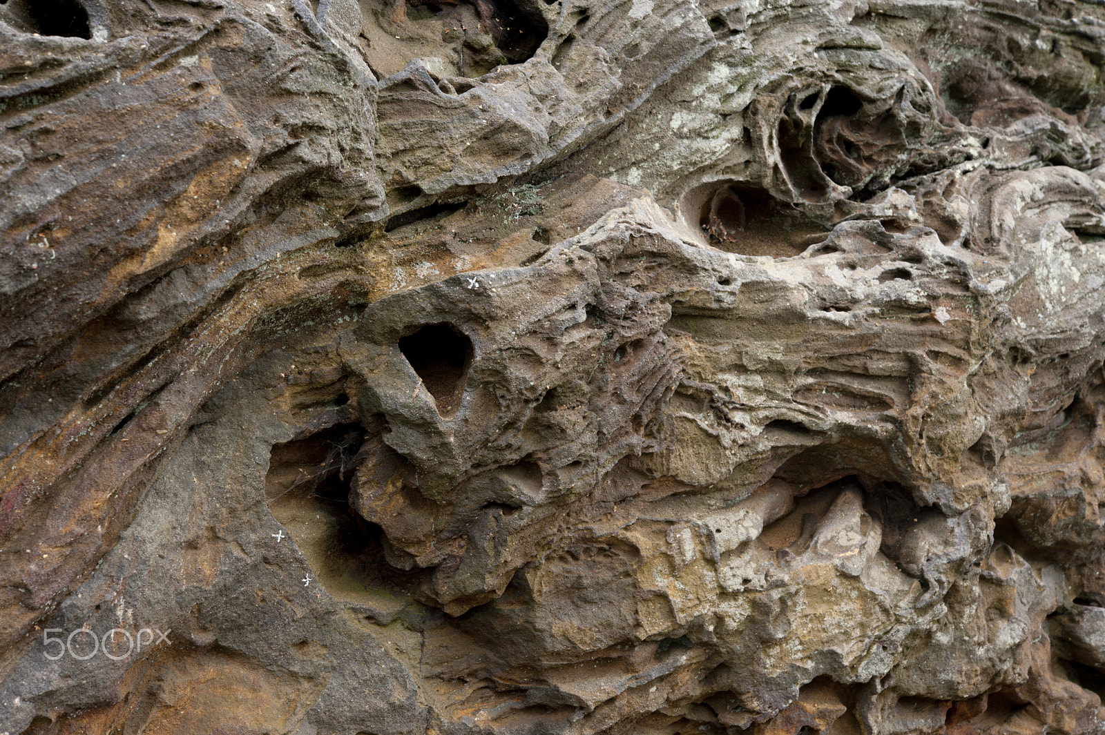 Nikon AF-S Micro-Nikkor 60mm F2.8G ED sample photo. Devil's jumps carstone, surrey. photography