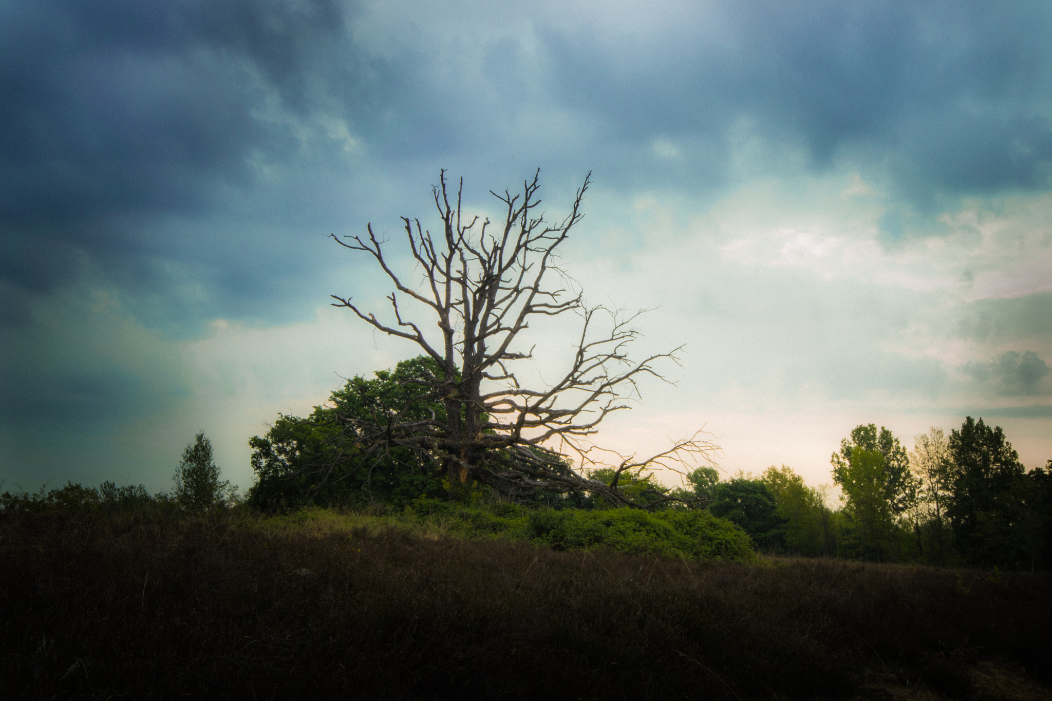 Sigma 12-24mm F4.5-5.6 EX DG Aspherical HSM sample photo. Carisio photography
