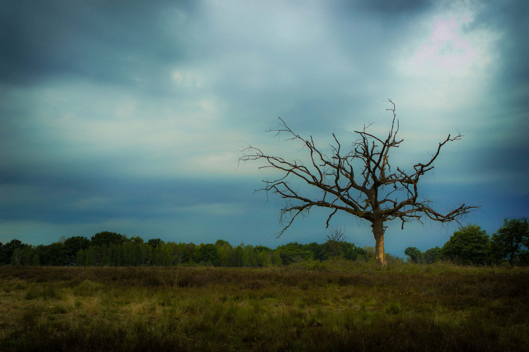 Nikon D3100 + Sigma 12-24mm F4.5-5.6 EX DG Aspherical HSM sample photo. Carisio photography