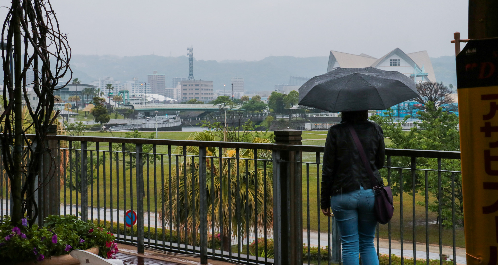 Canon EF-S 18-135mm F3.5-5.6 IS STM sample photo. Sous la pluie photography