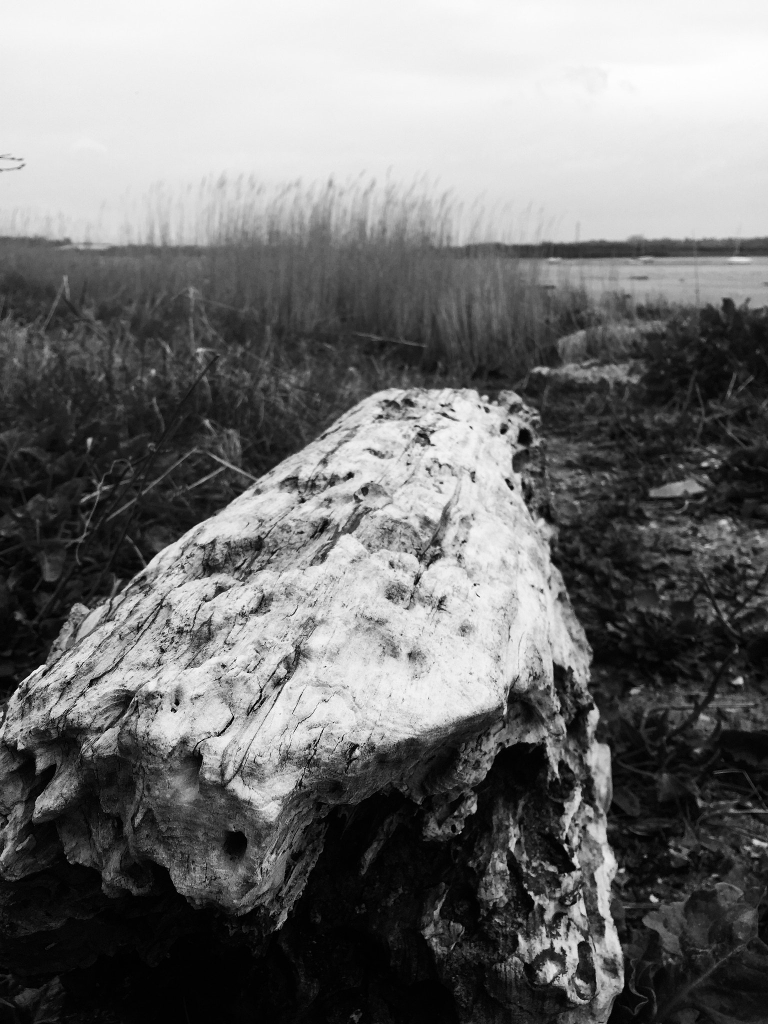 Apple iPhone7,2 sample photo. Manningtree estuary photography