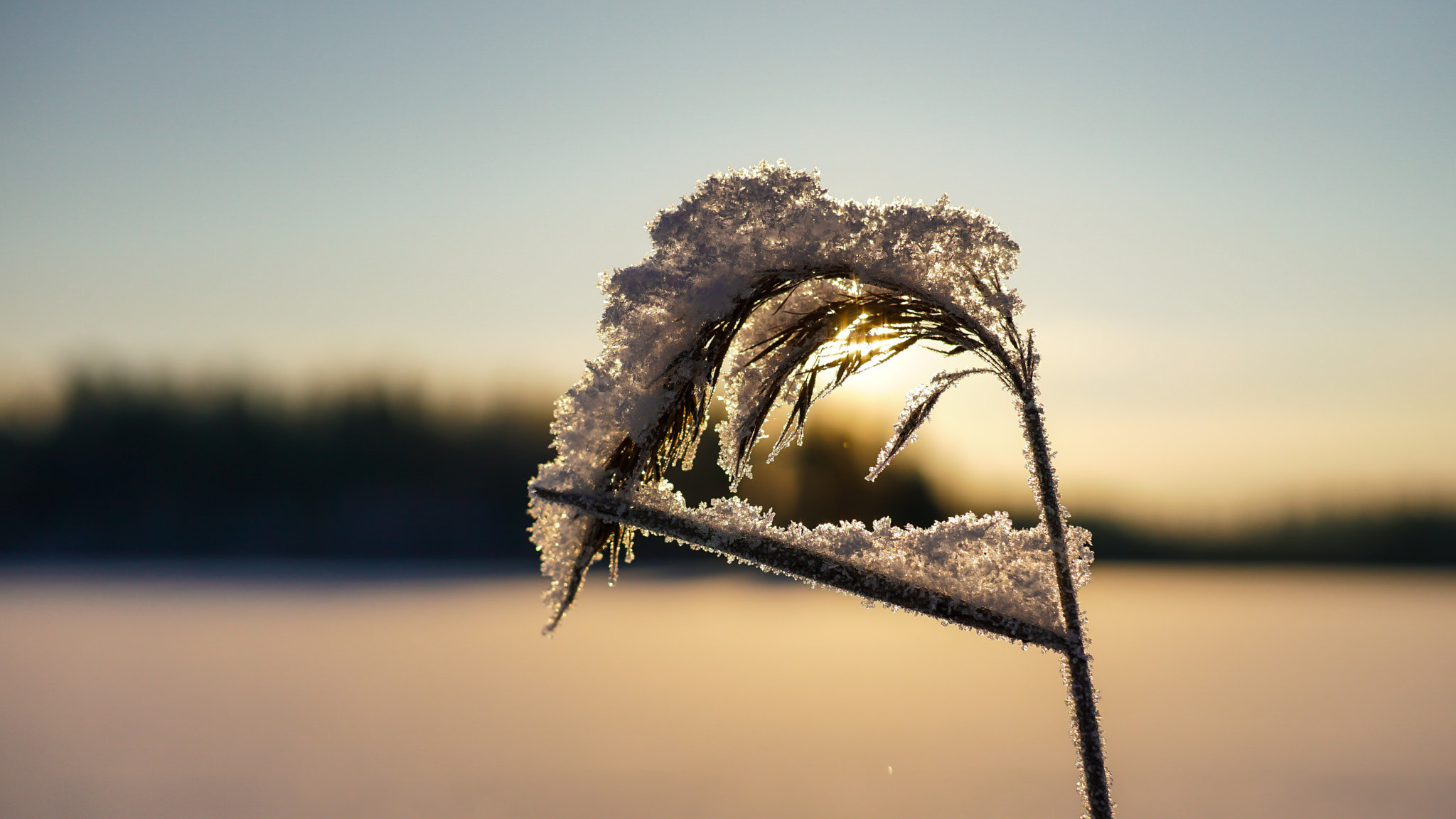 E 32mm F1.8 sample photo. Sparkly winter photography