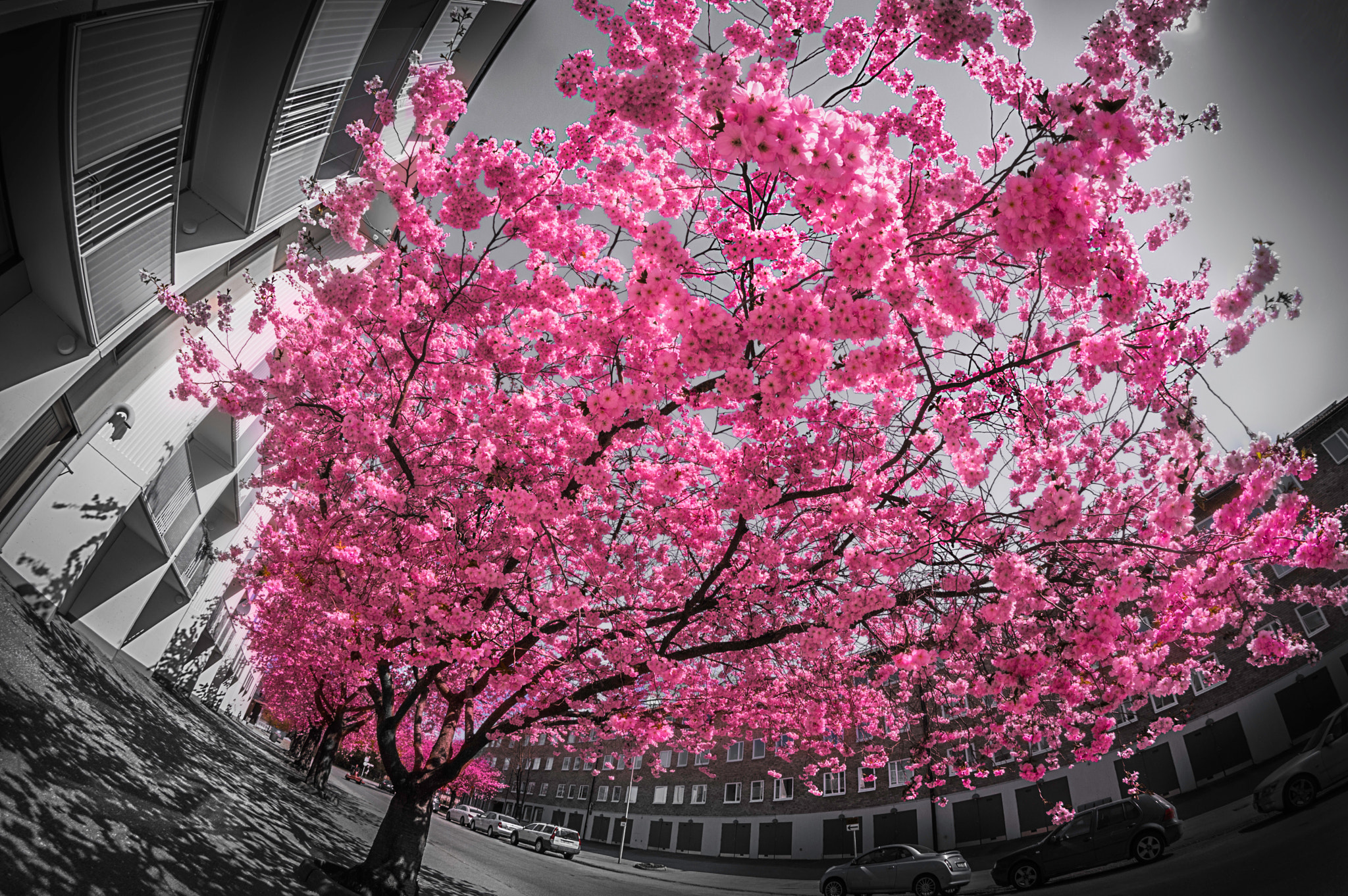 Nikon D3200 + Samyang 8mm F3.5 Aspherical IF MC Fisheye sample photo