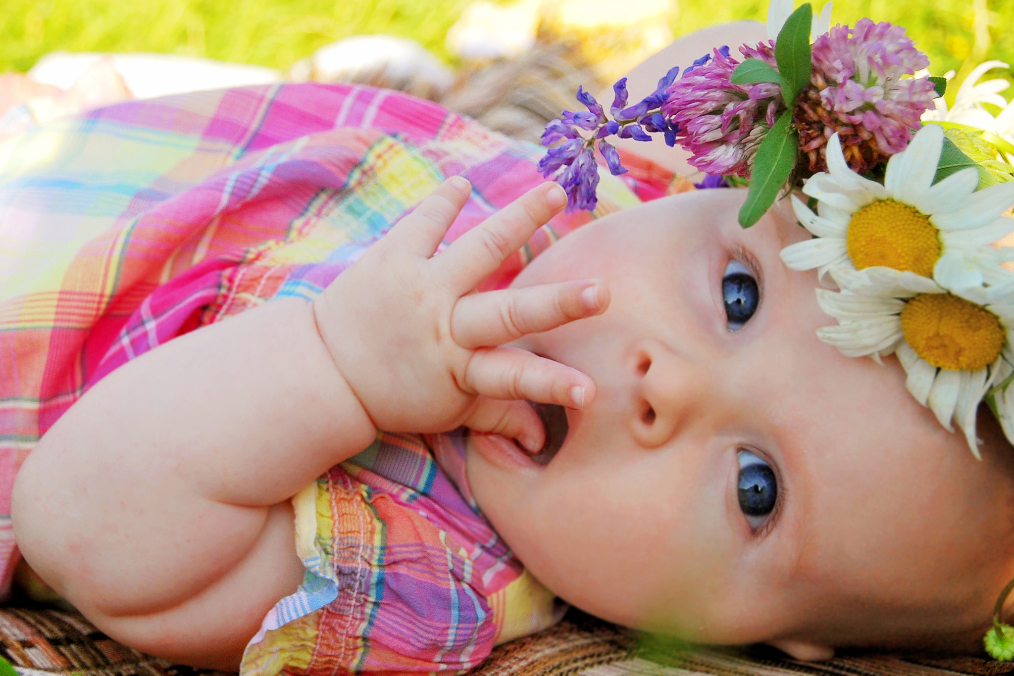 Nikon D60 sample photo. The first summer photography