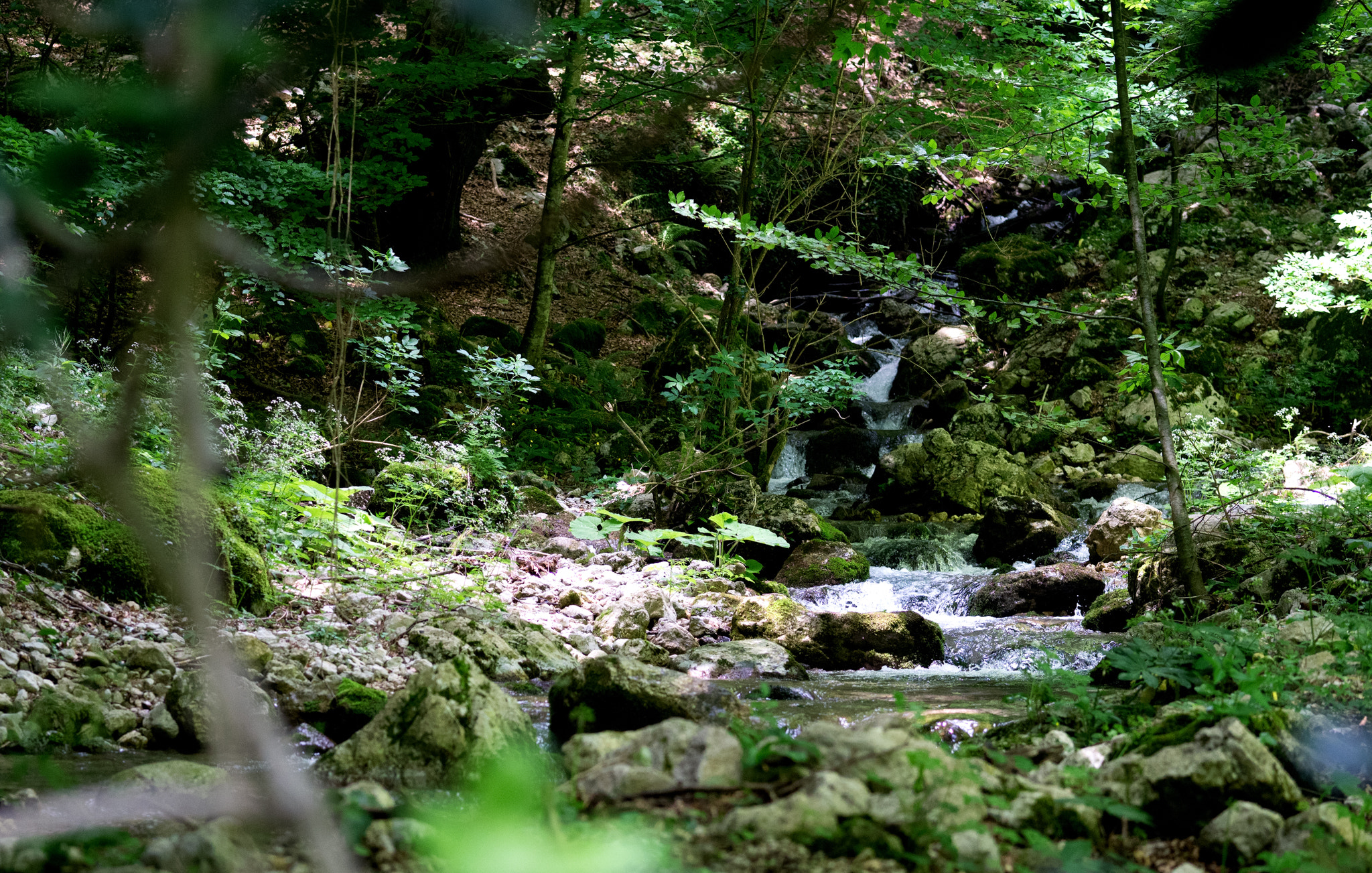 Sony a5100 + E 60mm F2.8 sample photo. Creek photography