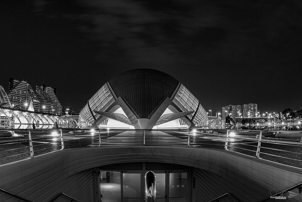 Canon EF 8-15mm F4L Fisheye USM sample photo. _mg_7668.jpg photography