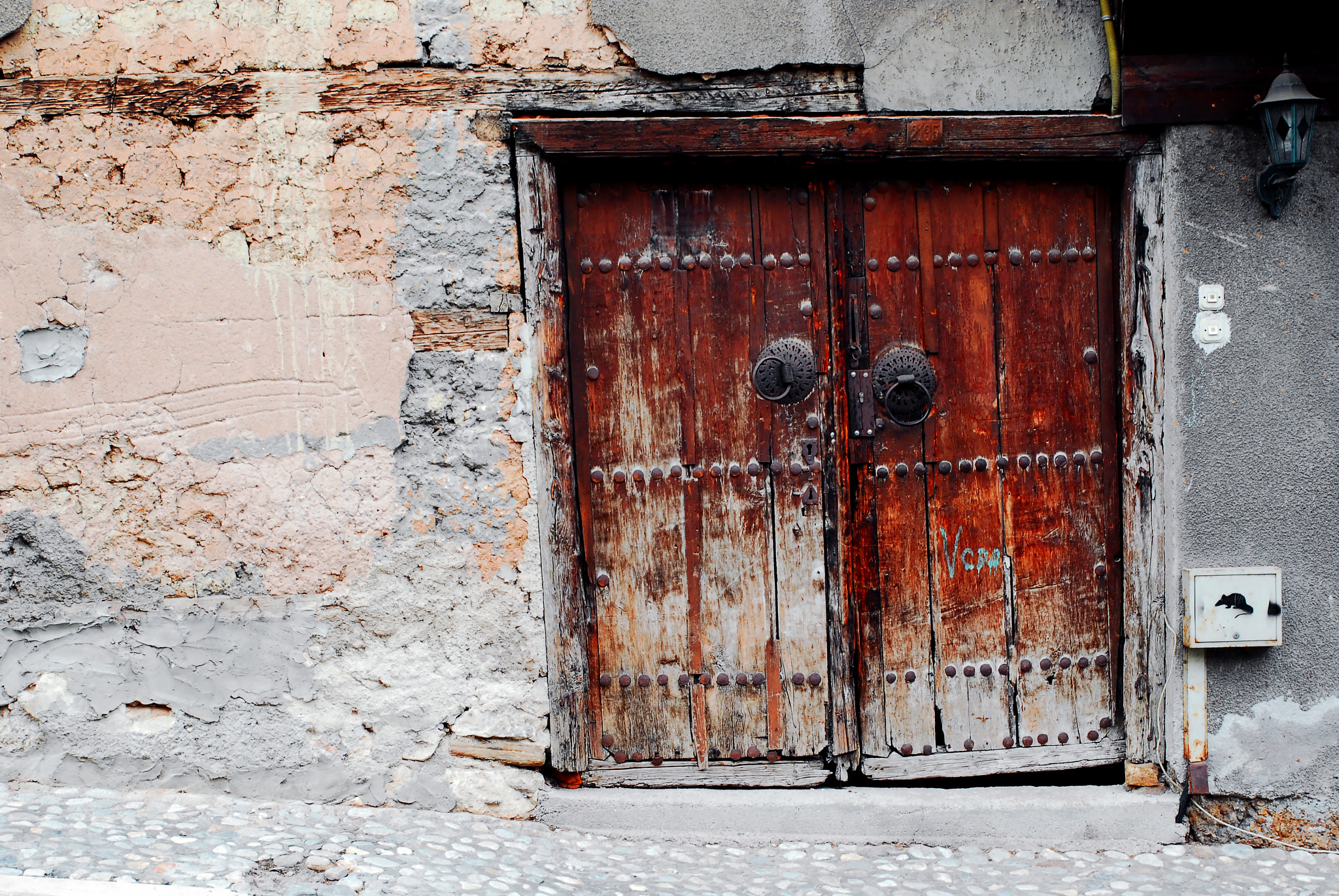 Nikon D200 sample photo. Double door & a mouse photography