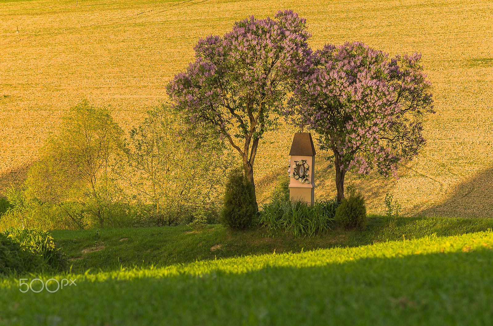 Pentax K-5 II + A Series Lens sample photo. Polish tuscany.....spring in poland photography