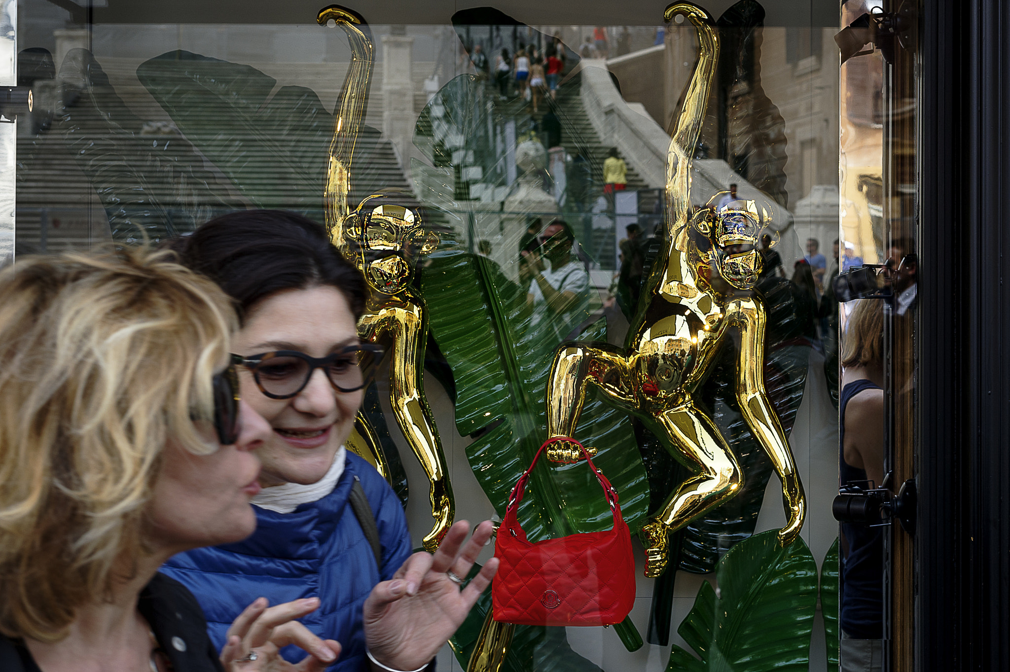Nikon D3S + Nikon AF-S Nikkor 50mm F1.8G sample photo. Singes et sac rome 2016-2.jpg photography