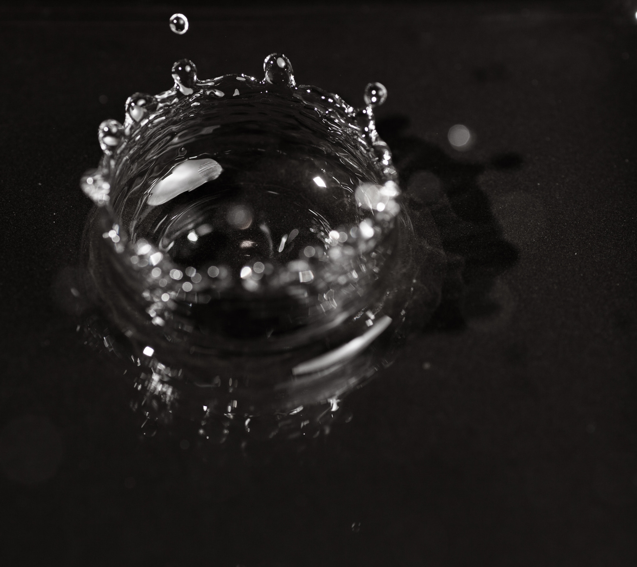 Canon EOS 5D Mark II + Tamron SP AF 90mm F2.8 Di Macro sample photo. Water crown photography