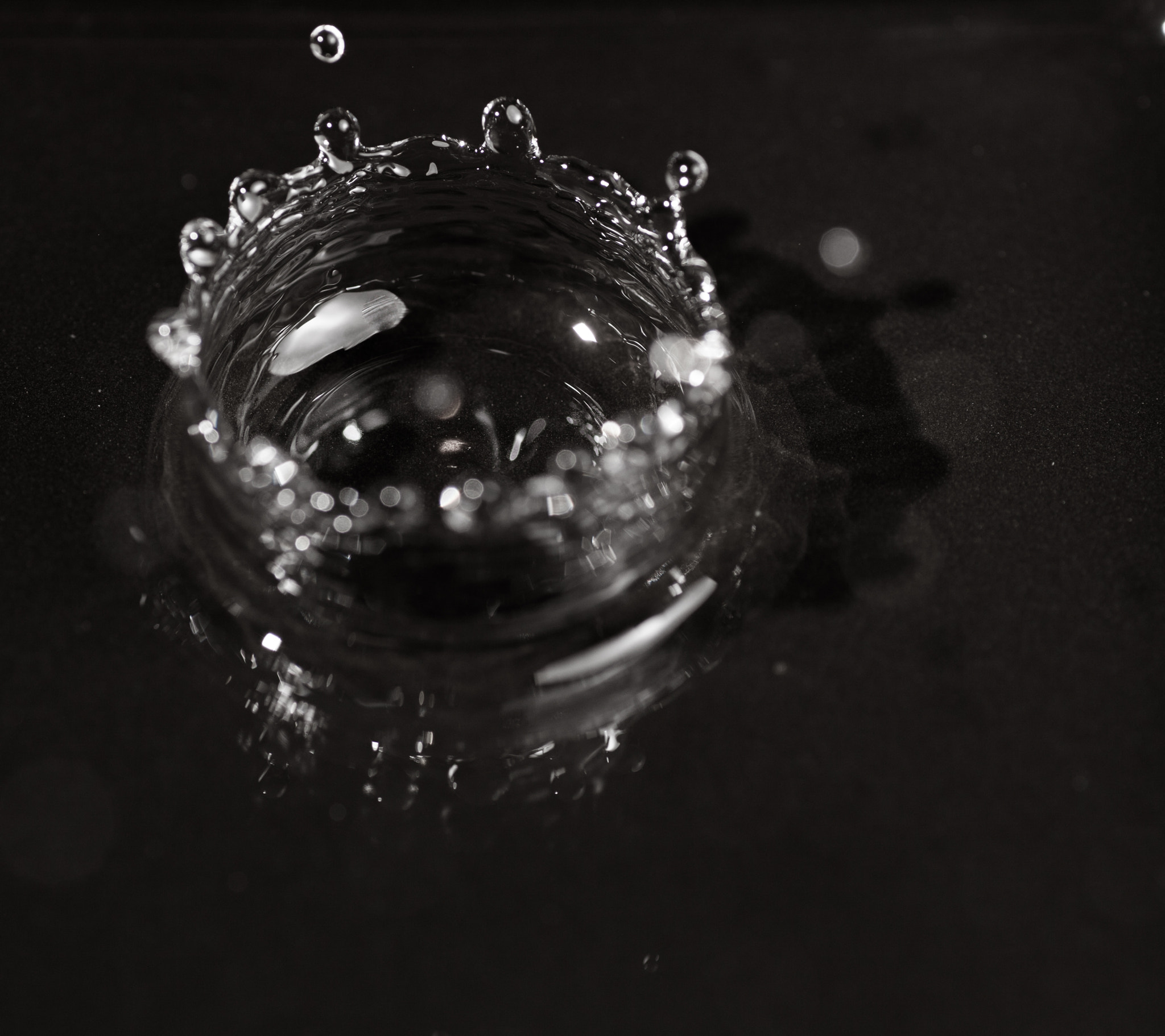 Tamron SP AF 90mm F2.8 Di Macro sample photo. Water crown photography