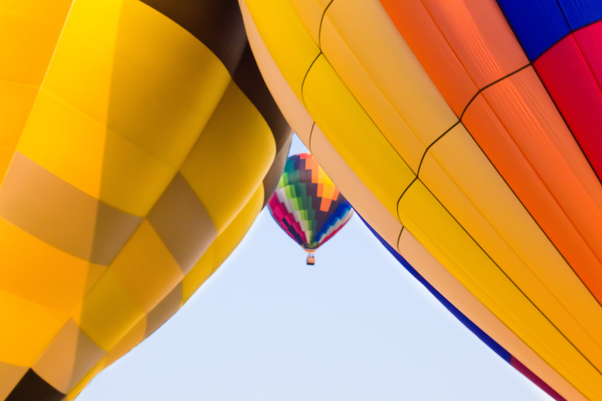 Canon EF 16-35mm F2.8L II USM sample photo. Balloon photography