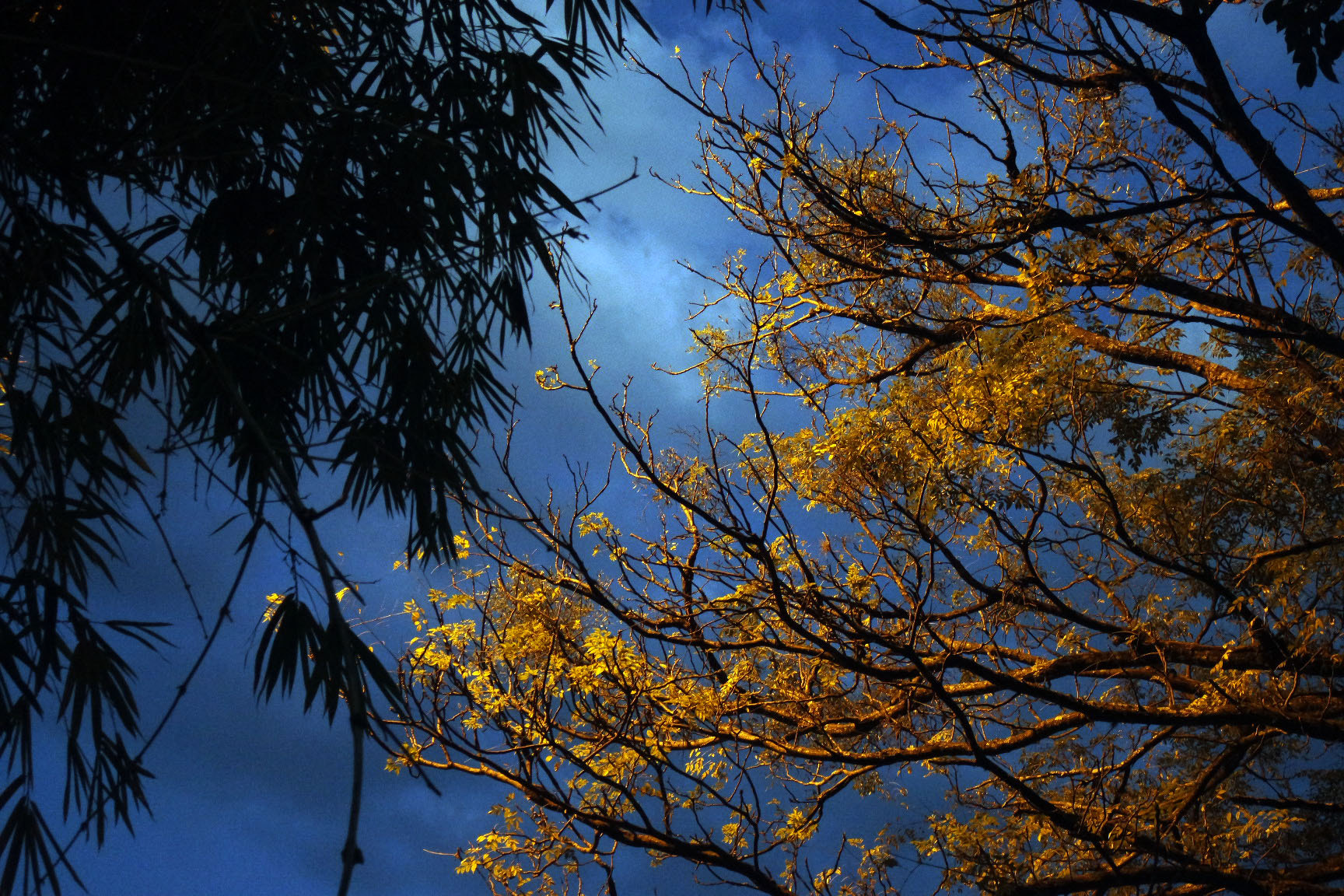 Samsung NX-M 9-27mm F3.5-5.6 ED OIS sample photo. E se fez noite photography