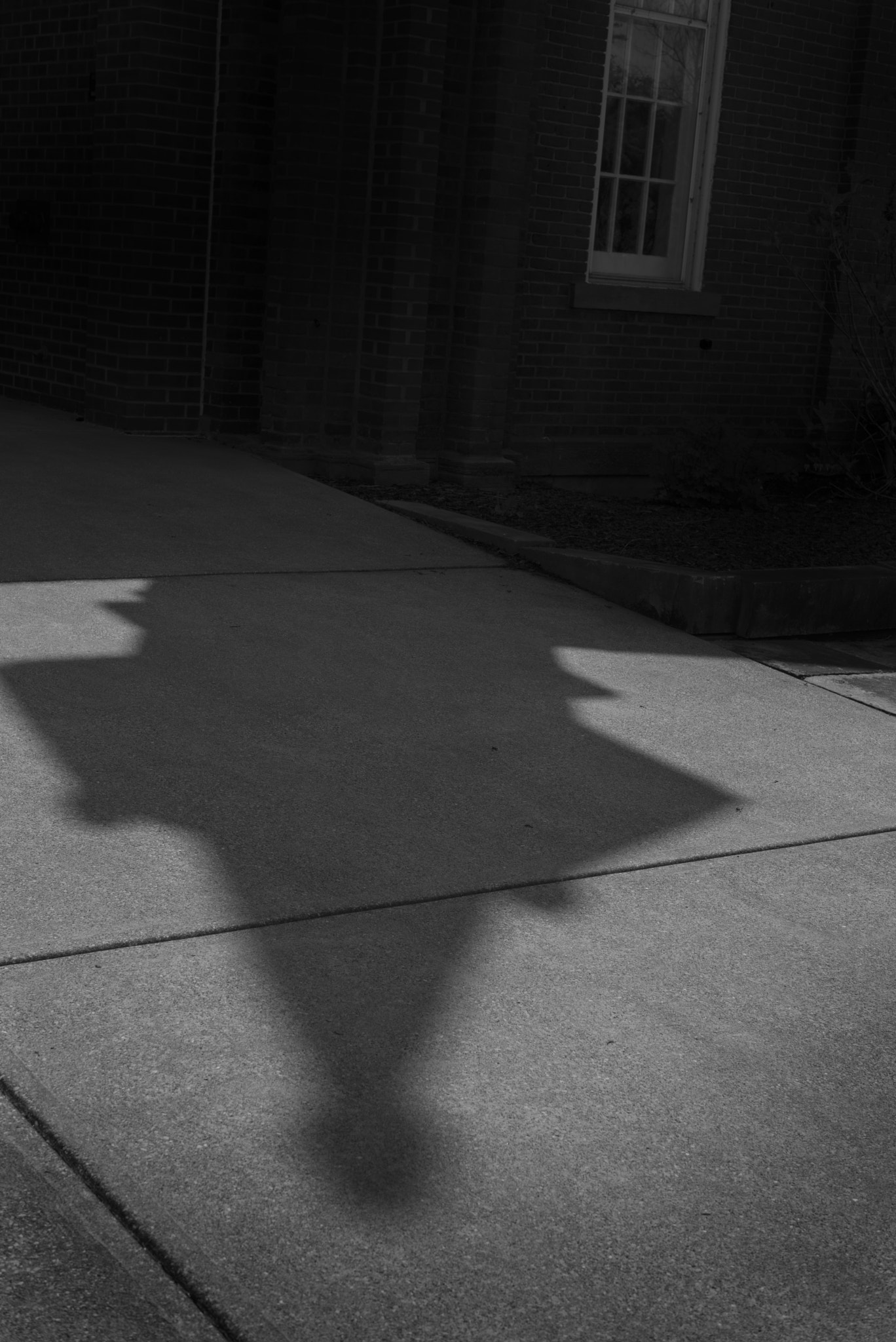 Leica Summilux-M 50mm F1.4 ASPH sample photo. B&w no. 7 with leica m246 photography